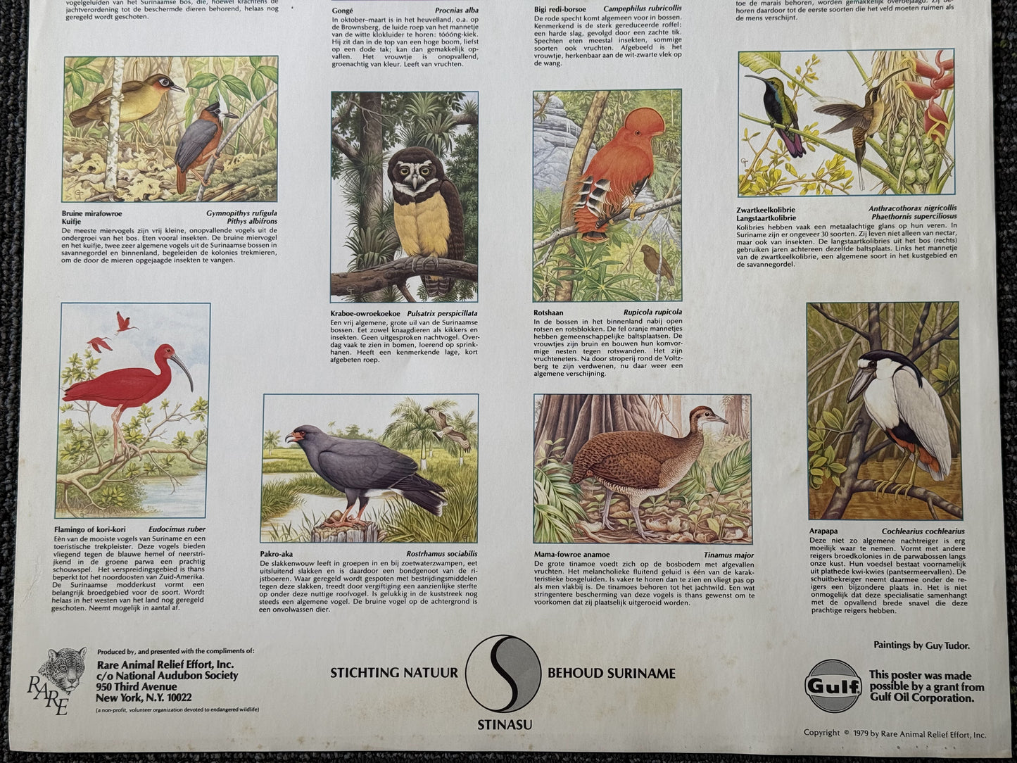 Vintage Suriname Bird Poster (1979)