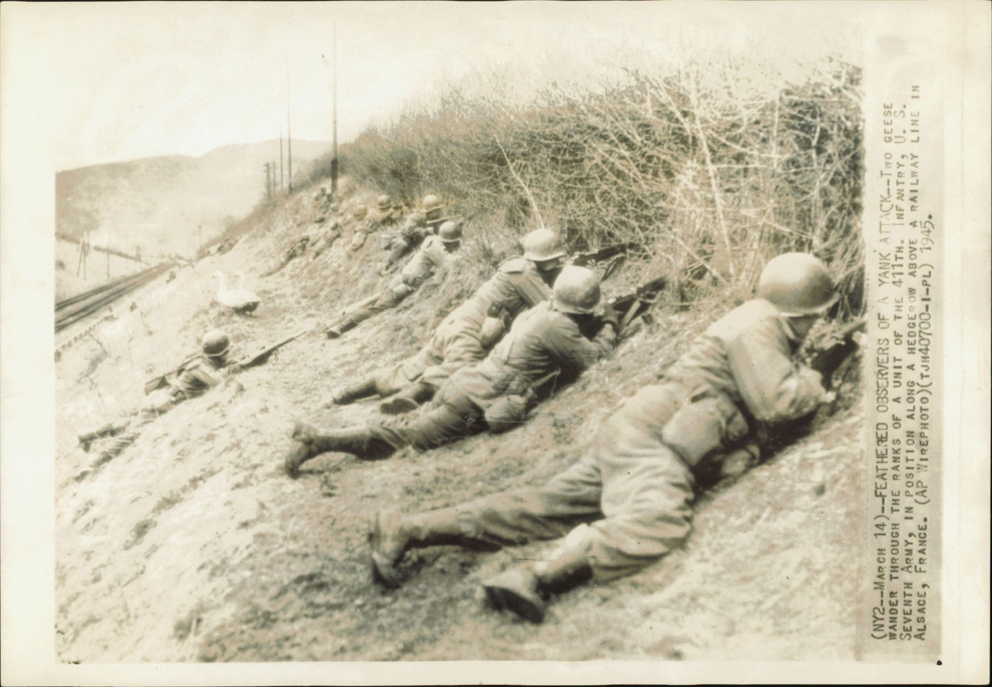 WWII Photos, European Theater Collection (1942-1944) (11 Vintage Oversized Prints) Aachen Alsace Arctic Sea Artillery France Genoa Germany Gressenich Hitler Military Murmansk oversize Oversized Russia Saar Tank WW2
