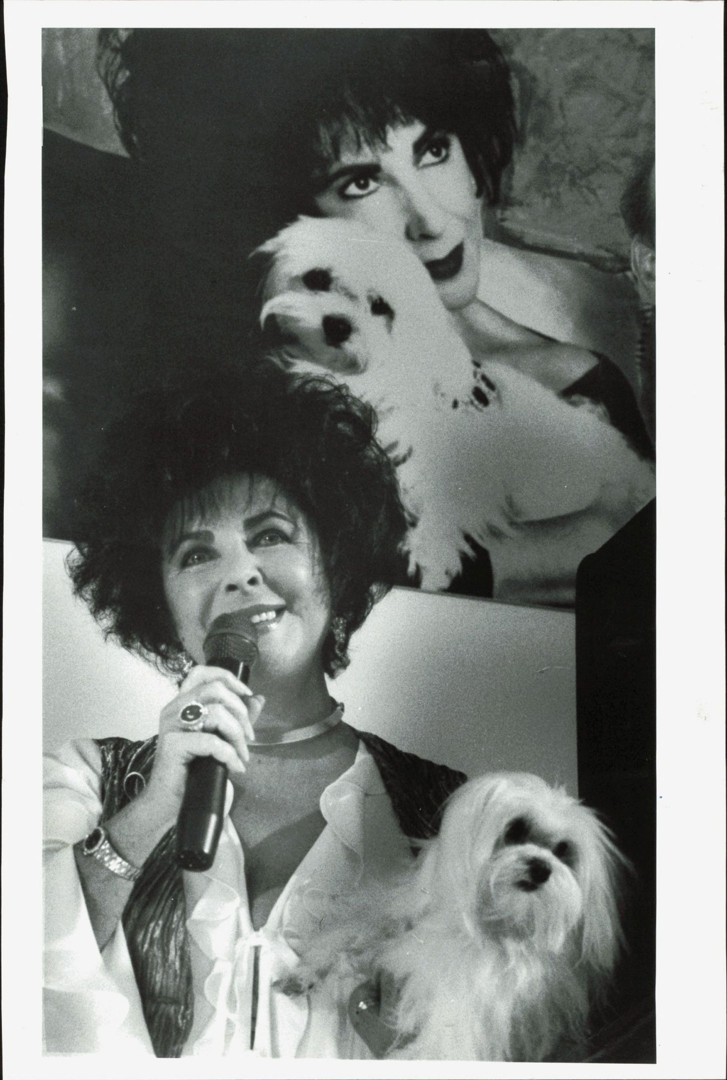 Elizabeth Taylor (1994) (oversize) Dog Elizabeth Taylor Hollywood oversize