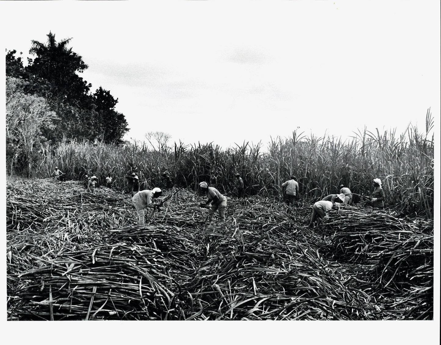 Cuban Daily Life Collection | Ron Laytner (1970) (29 vintage oversize prints)