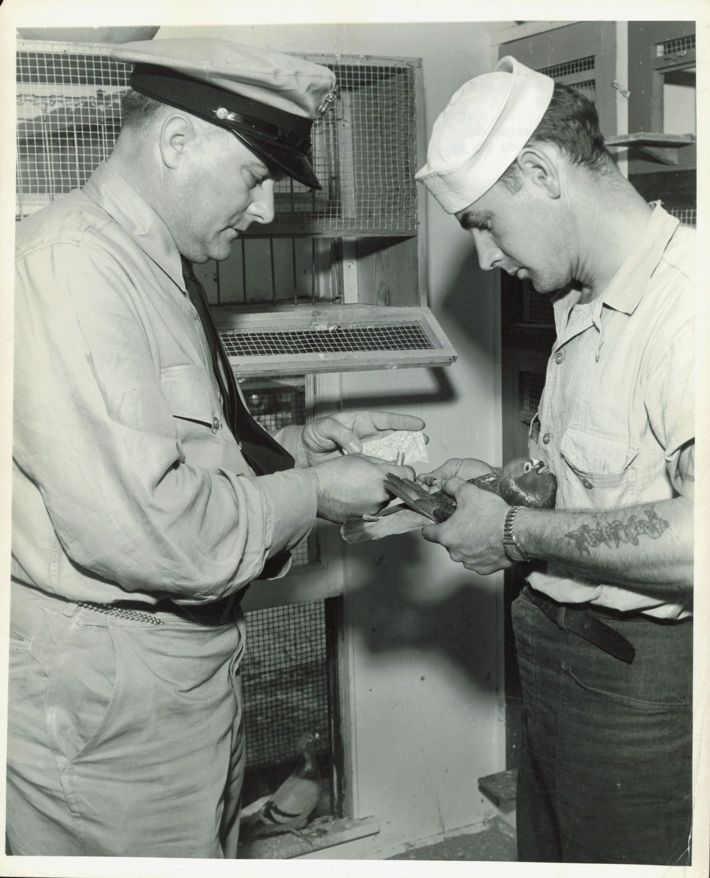 Armed Forces Tattoo Photos (1934 - 1952) (6 Vintage Photos) Air Force Army Aviation Military Navy Tattoo