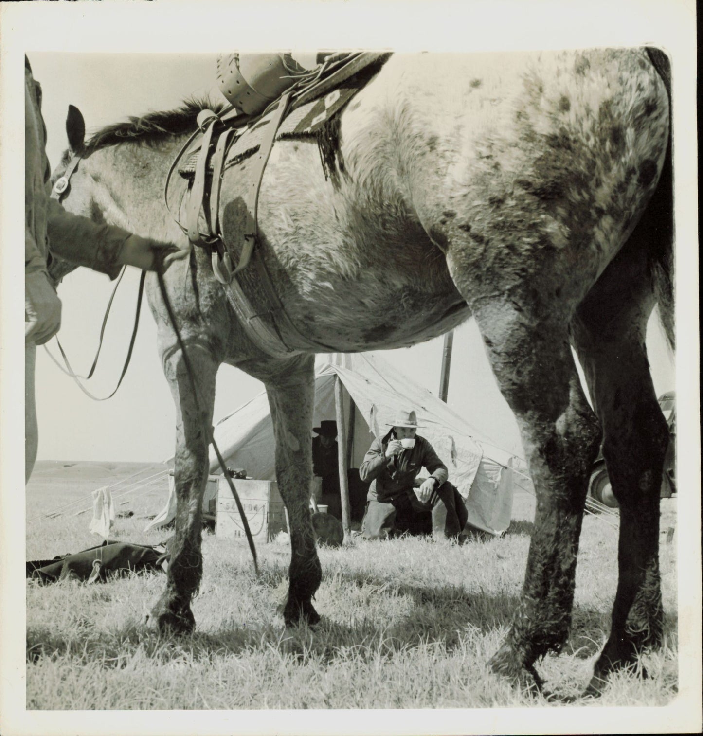 Cowboy Collection (1923 - 1955) (14 vintage prints) Sports Wild West