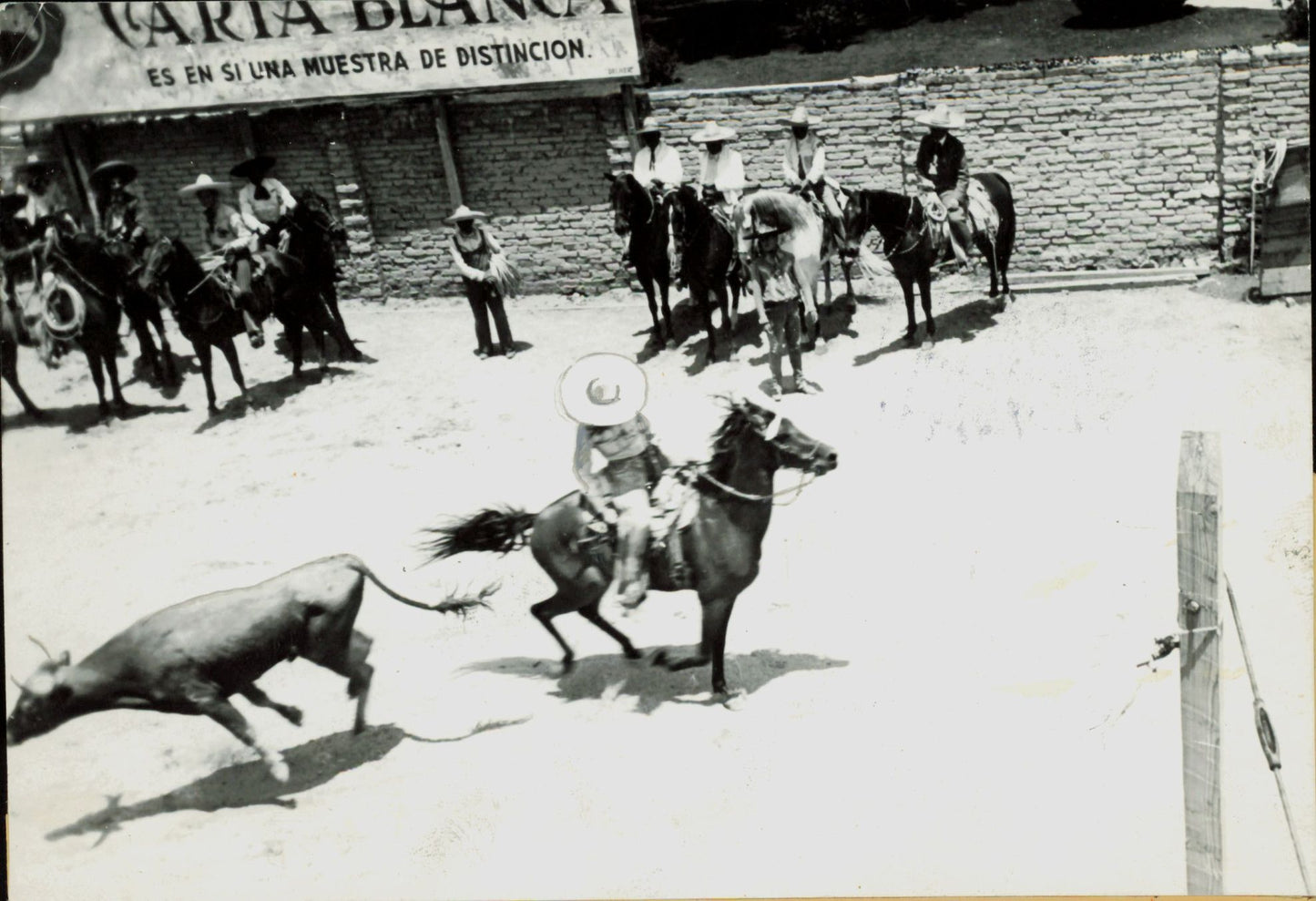 Cowboy Collection (1923 - 1955) (14 vintage prints) Sports Wild West