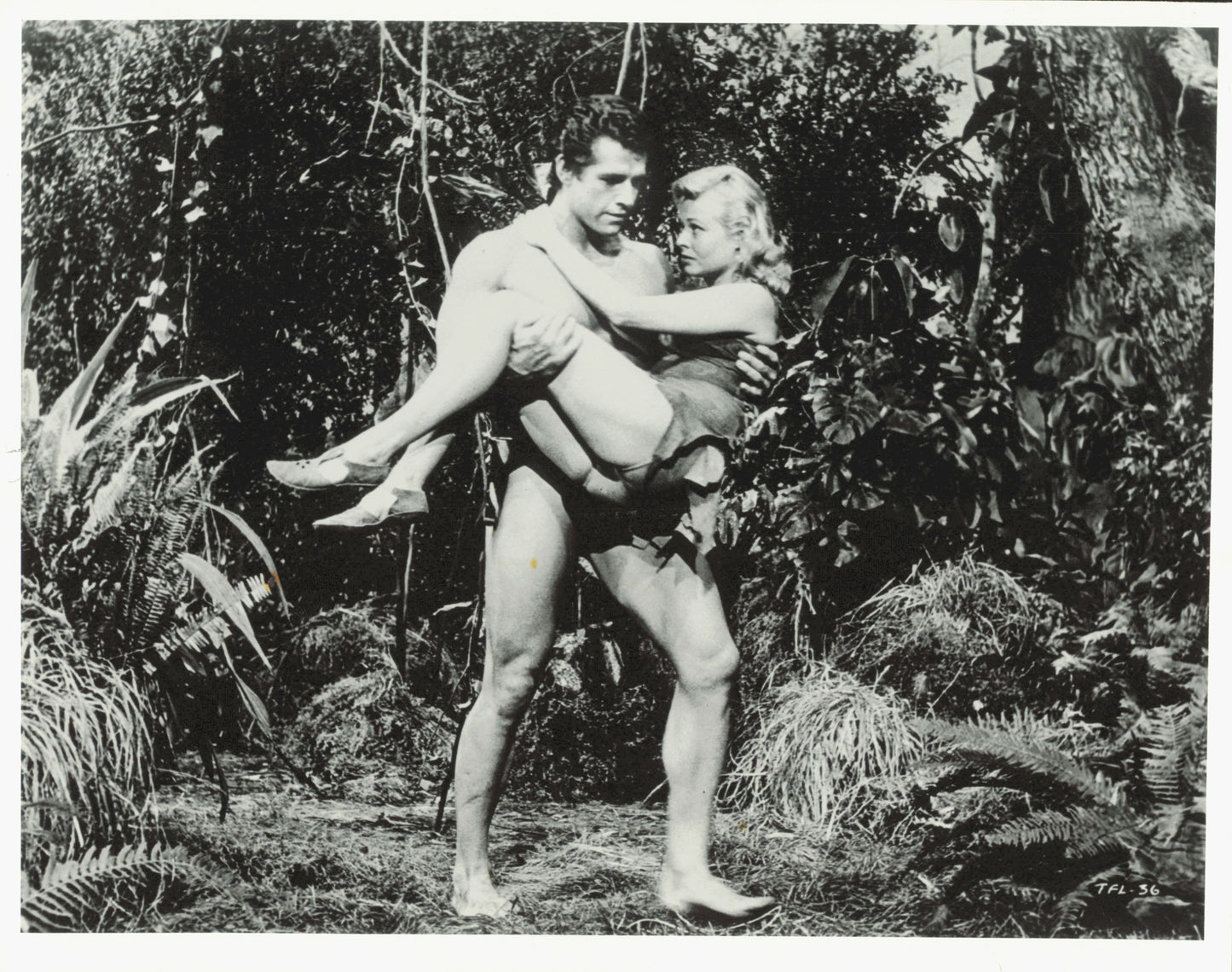 Tarzan Collection (1918 - 1966) (21 vintage prints) Animal Animals Film Hollywood leopard