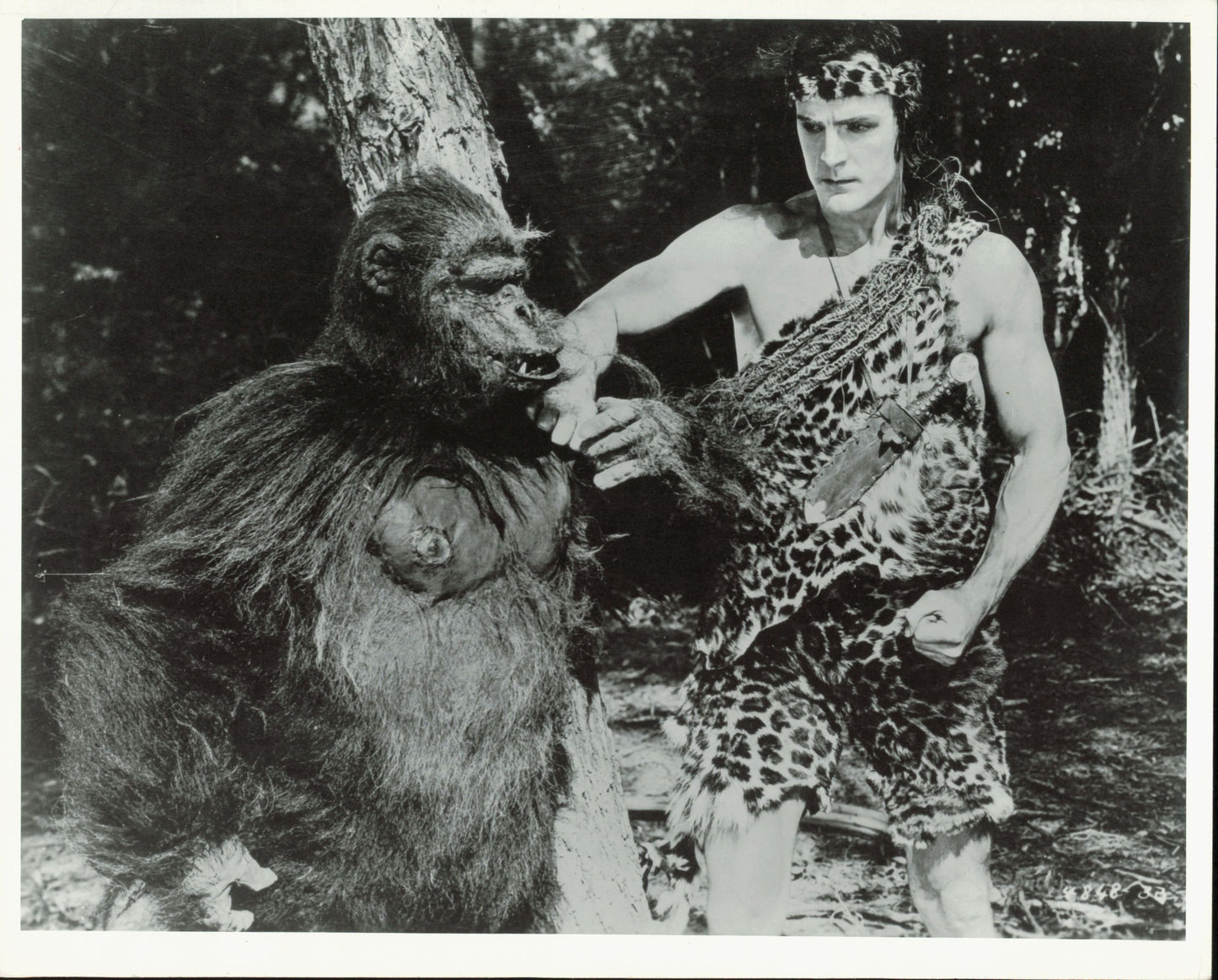 Tarzan Collection (1918 - 1966) (21 vintage prints) Animal Animals Film Hollywood leopard