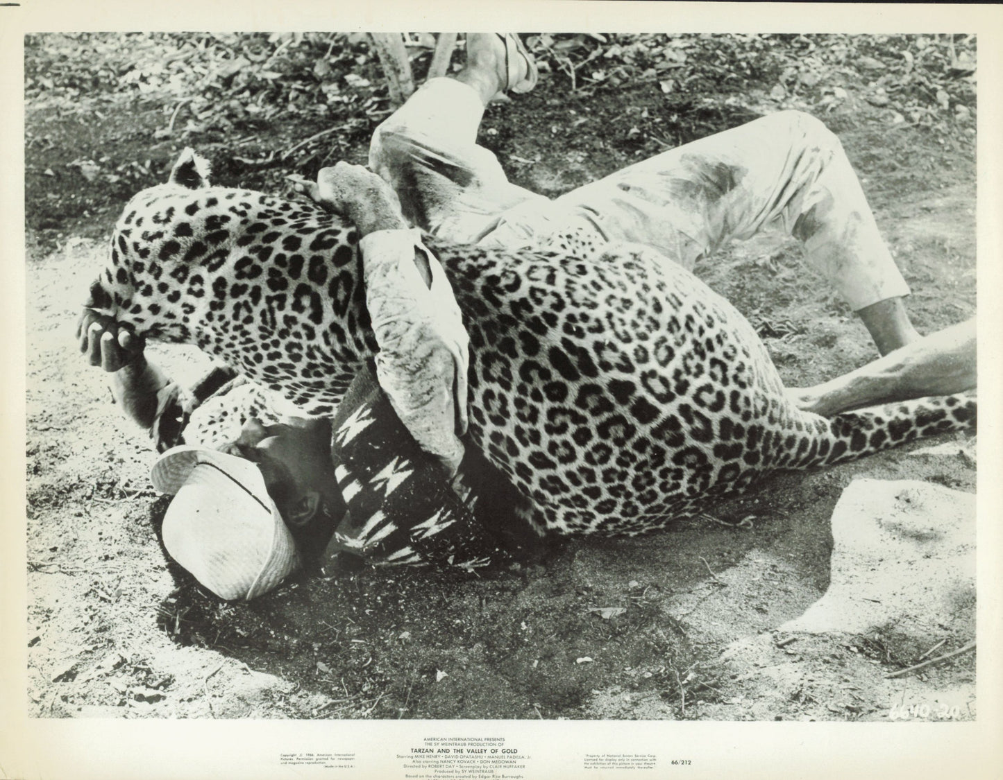 Tarzan Collection (1918 - 1966) (21 vintage prints) Animal Animals Film Hollywood leopard