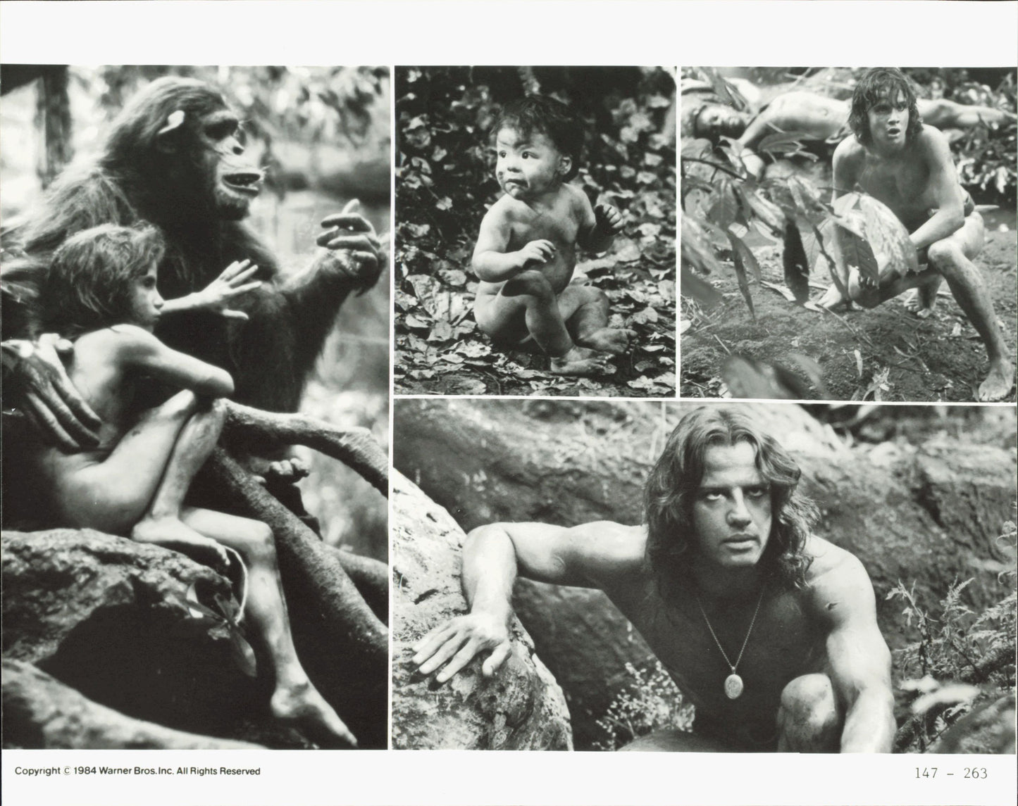 Tarzan Collection (1918 - 1966) (21 vintage prints) Animal Animals Film Hollywood leopard