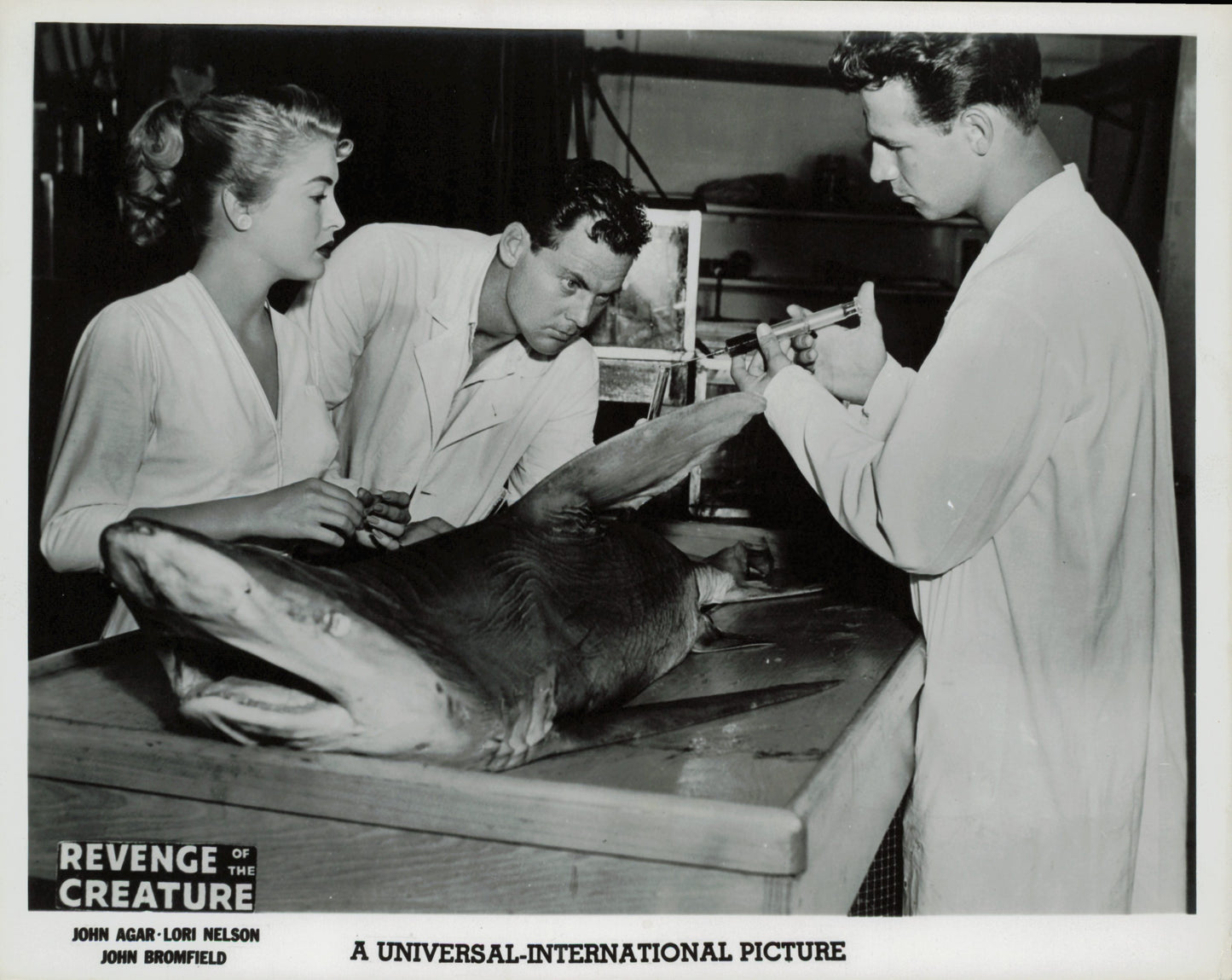 Revenge of the Creature (1955) Collection (10 vintage prints) Film Hollywood monster