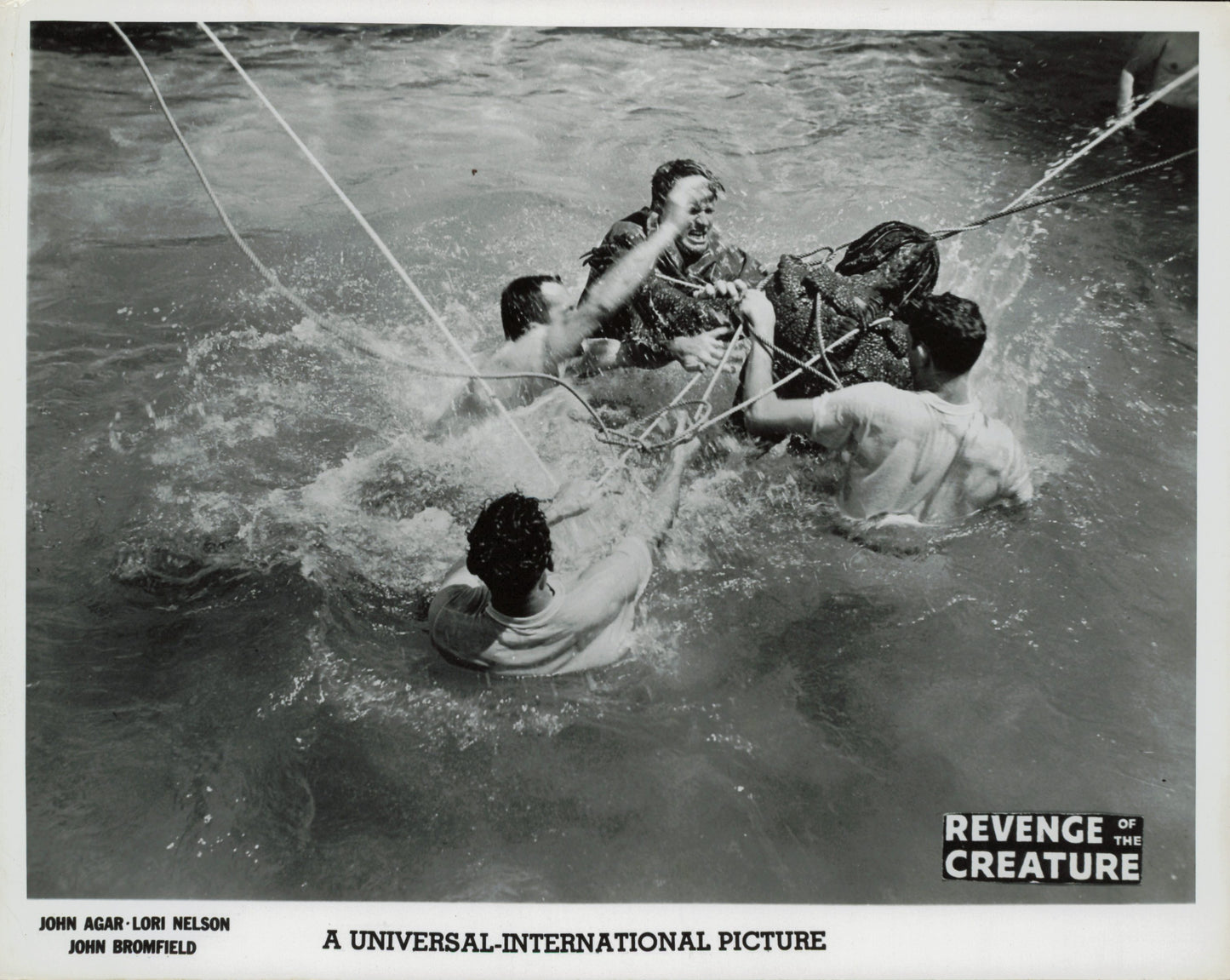 Revenge of the Creature (1955) Collection (10 vintage prints) Film Hollywood monster
