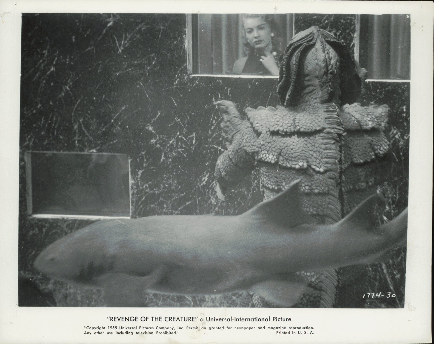 Revenge of the Creature (1955) Collection (10 vintage prints) Film Hollywood monster