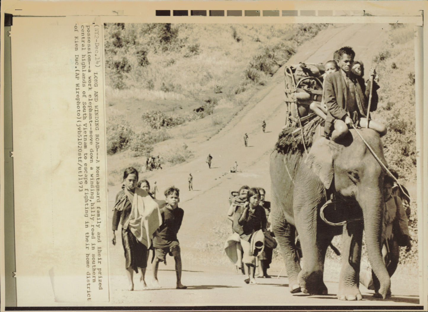 Vietnam War Collection (70 vintage prints) Military Vietnam