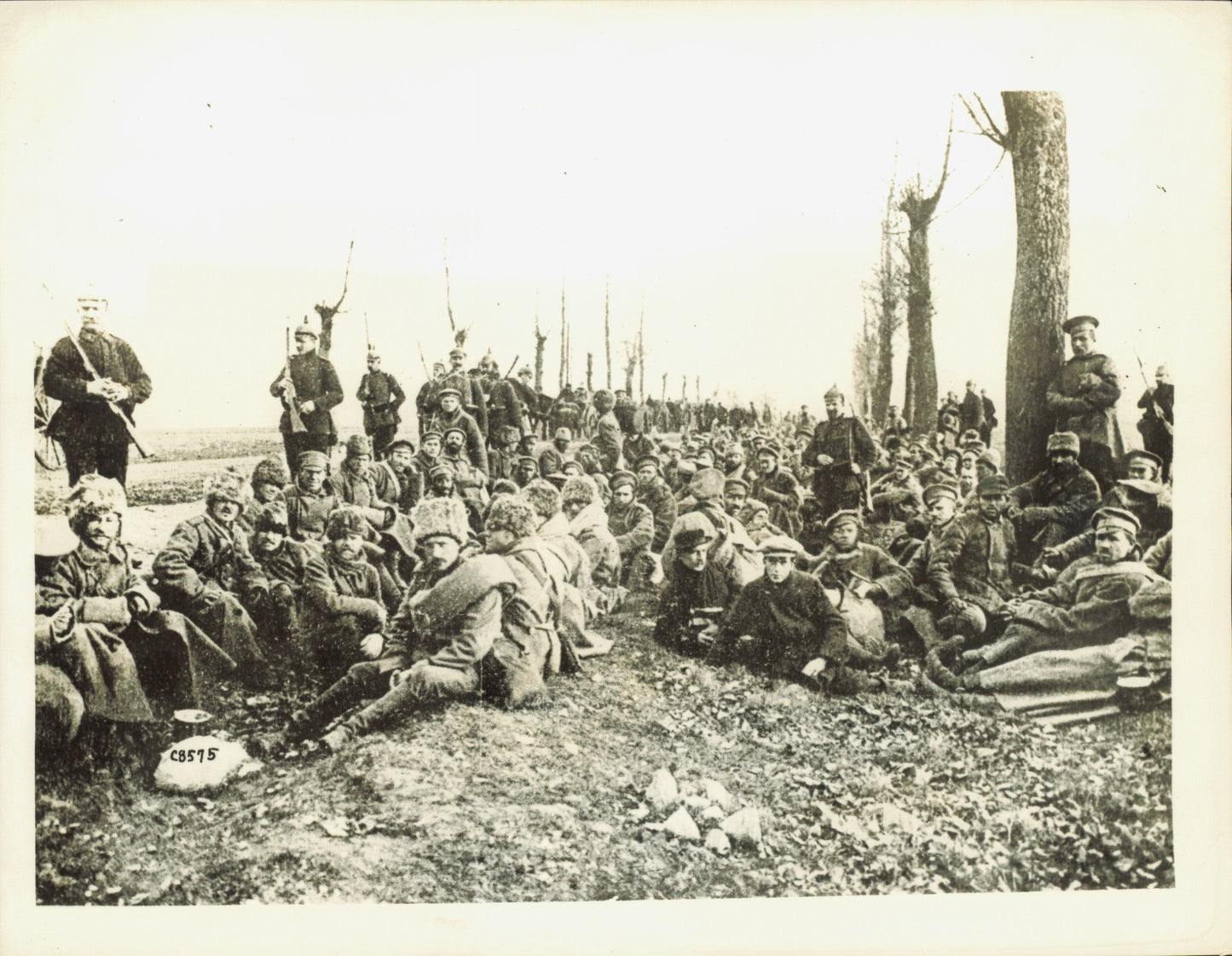 World War I Collection (30 vintage prints) Military WWI