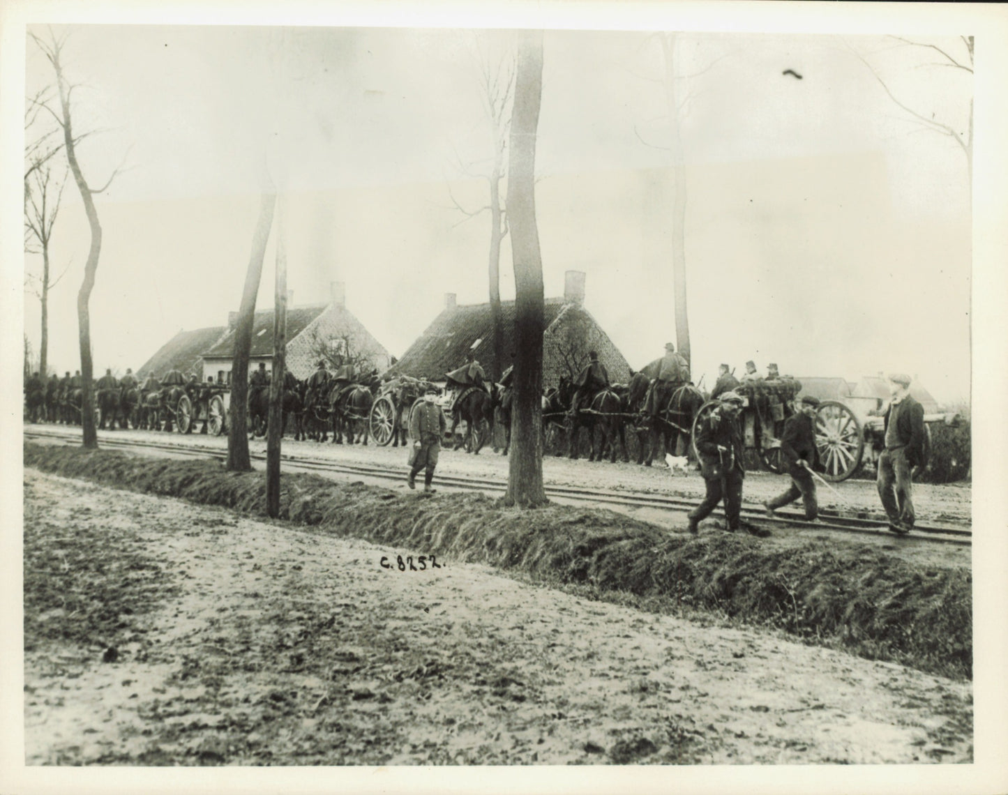 World War I Collection (30 vintage prints) Military WWI