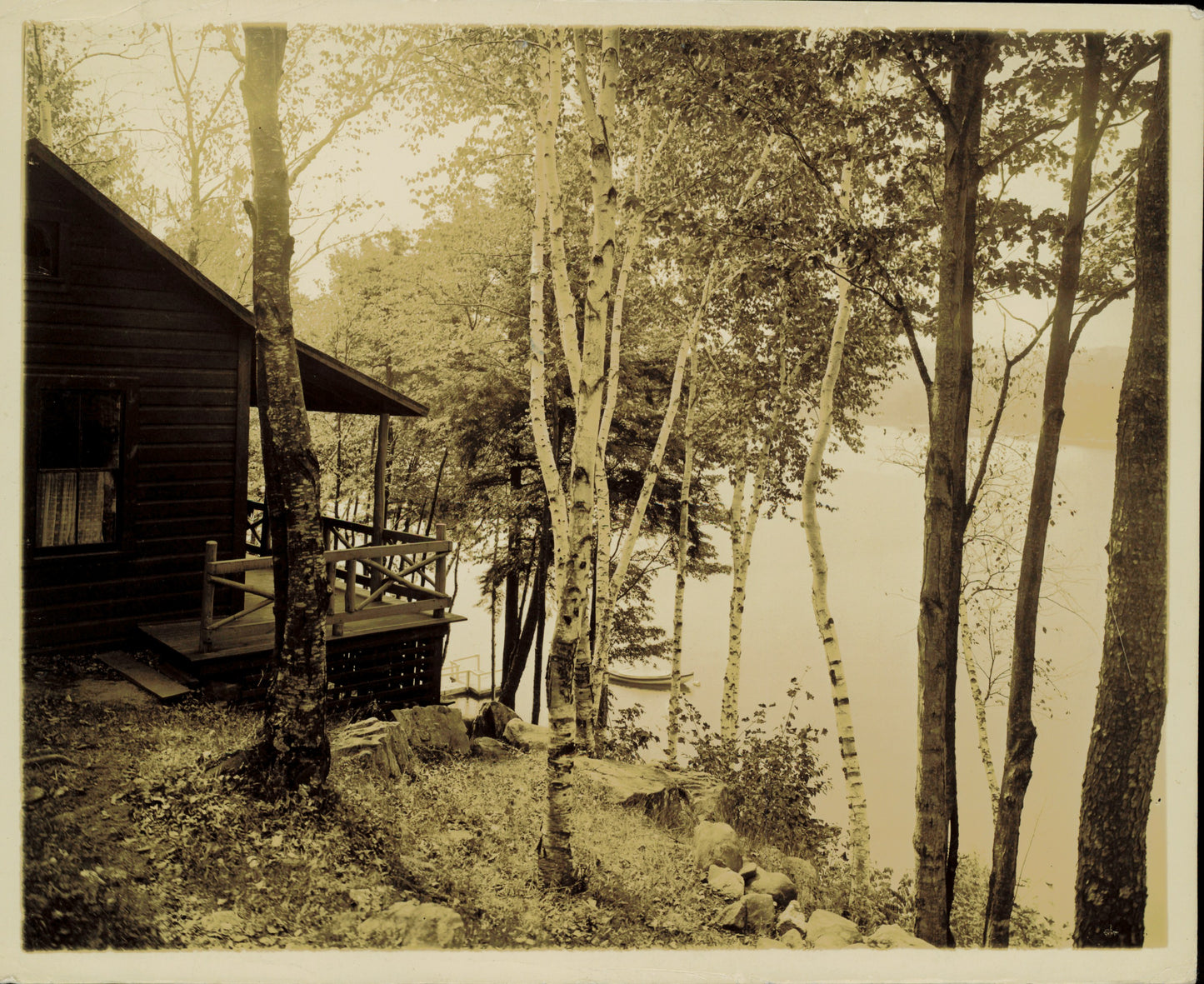 Arboreal Collection (4 vintage prints) Nature