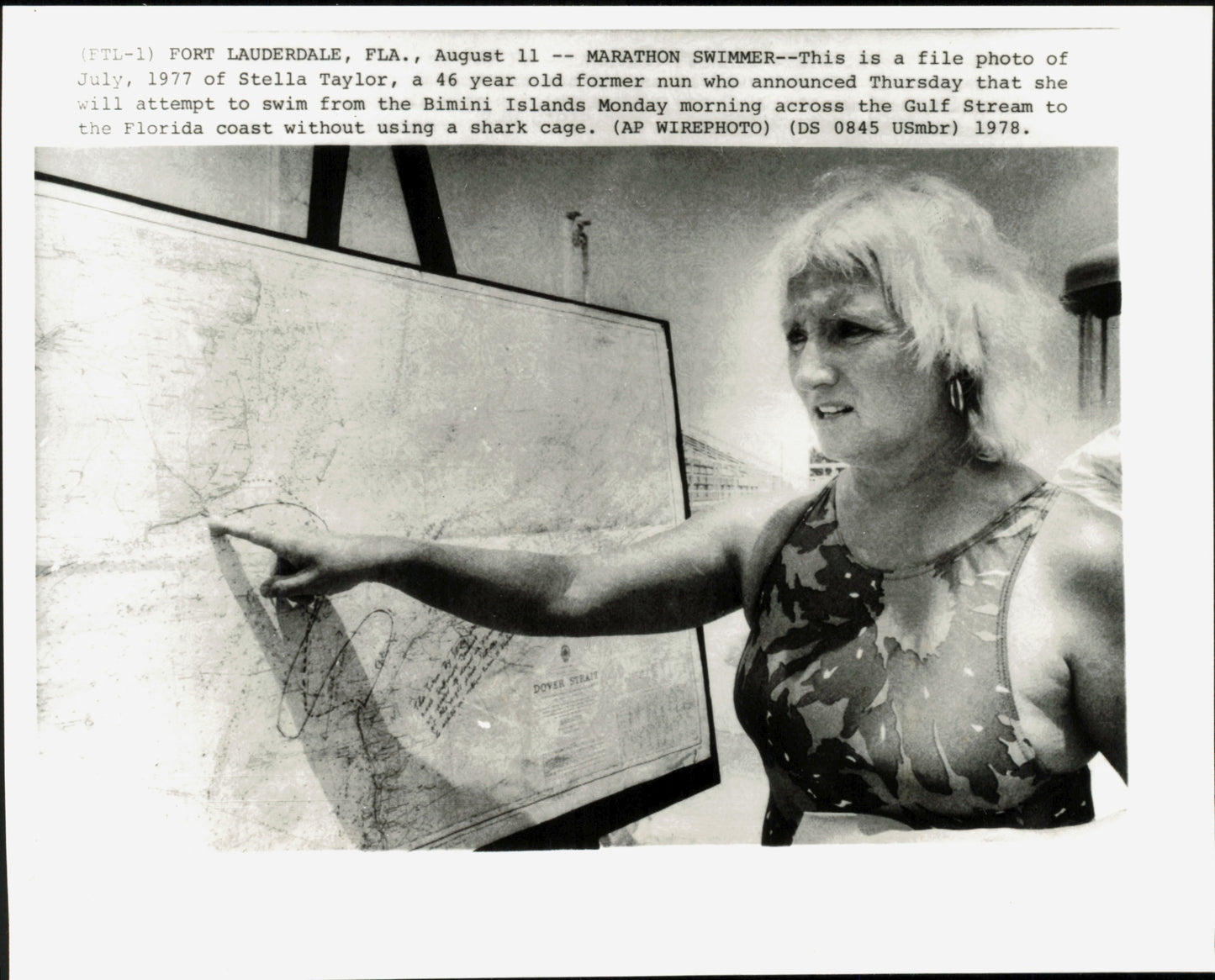 Stella Taylor Collection (1978) (5 vintage prints)