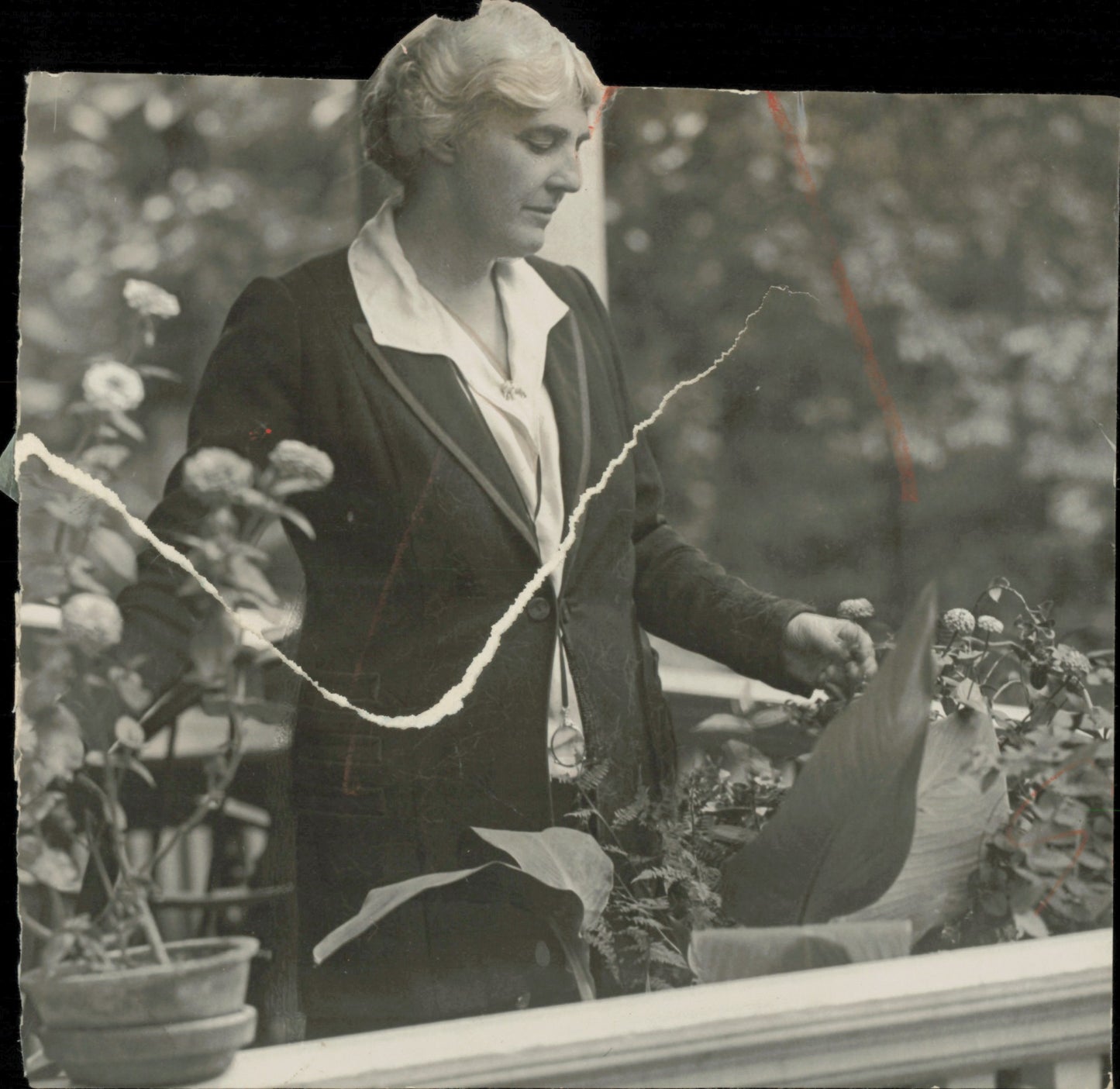 Mrs. Lou Henry Hoover Collection (1921-1939) (25 vintage prints)