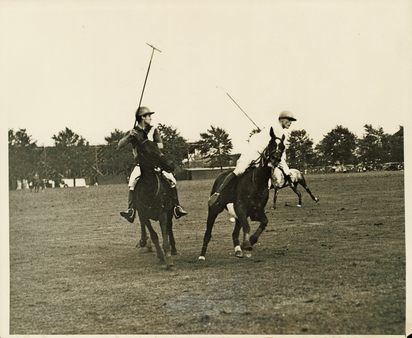 Equestrian Collection (1922-1945) (21 vintage prints)