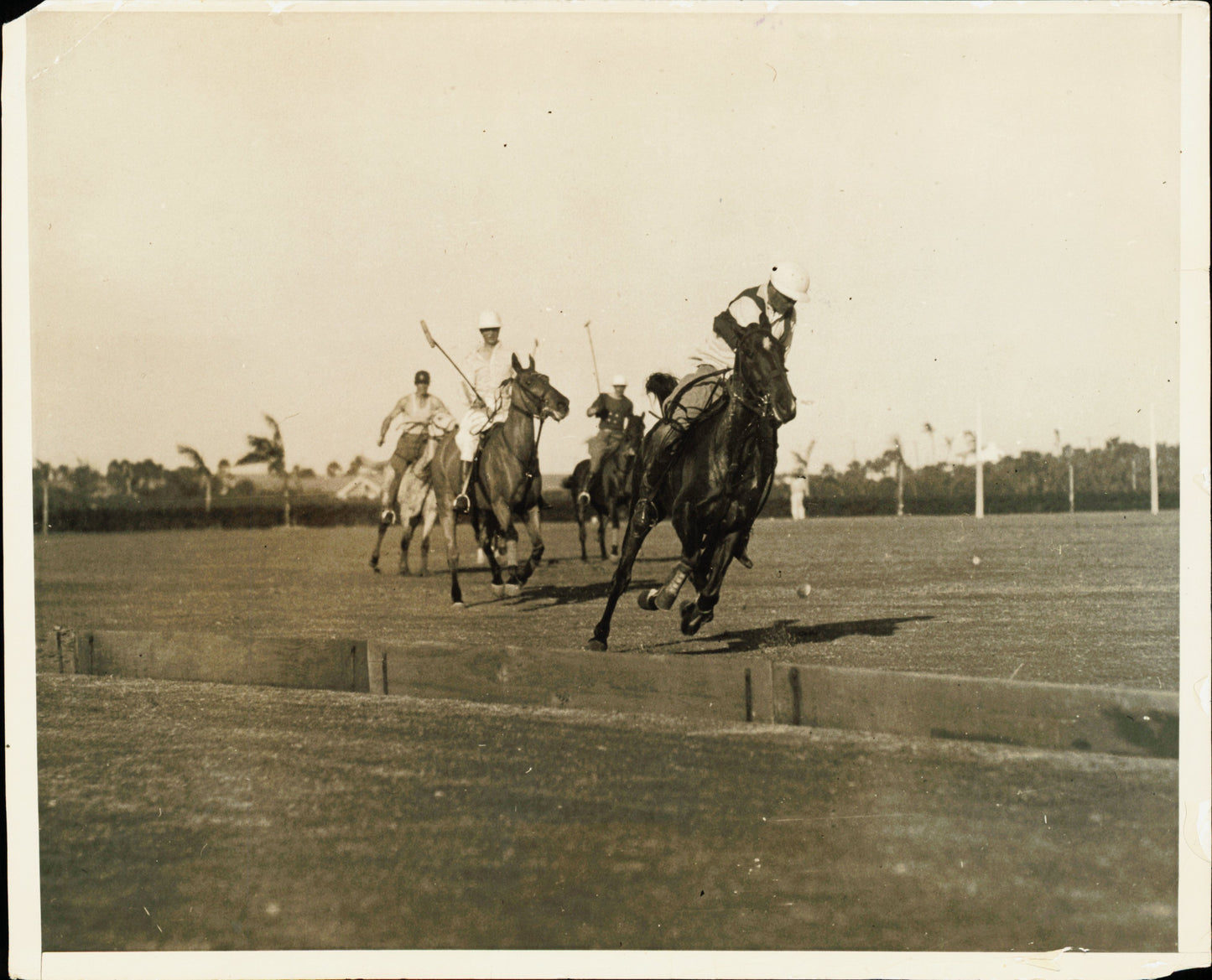 Equestrian Collection (1922-1945) (21 vintage prints)