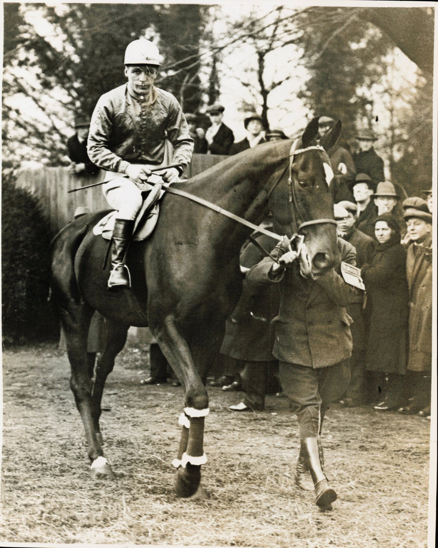 Equestrian Collection (1922-1945) (21 vintage prints)