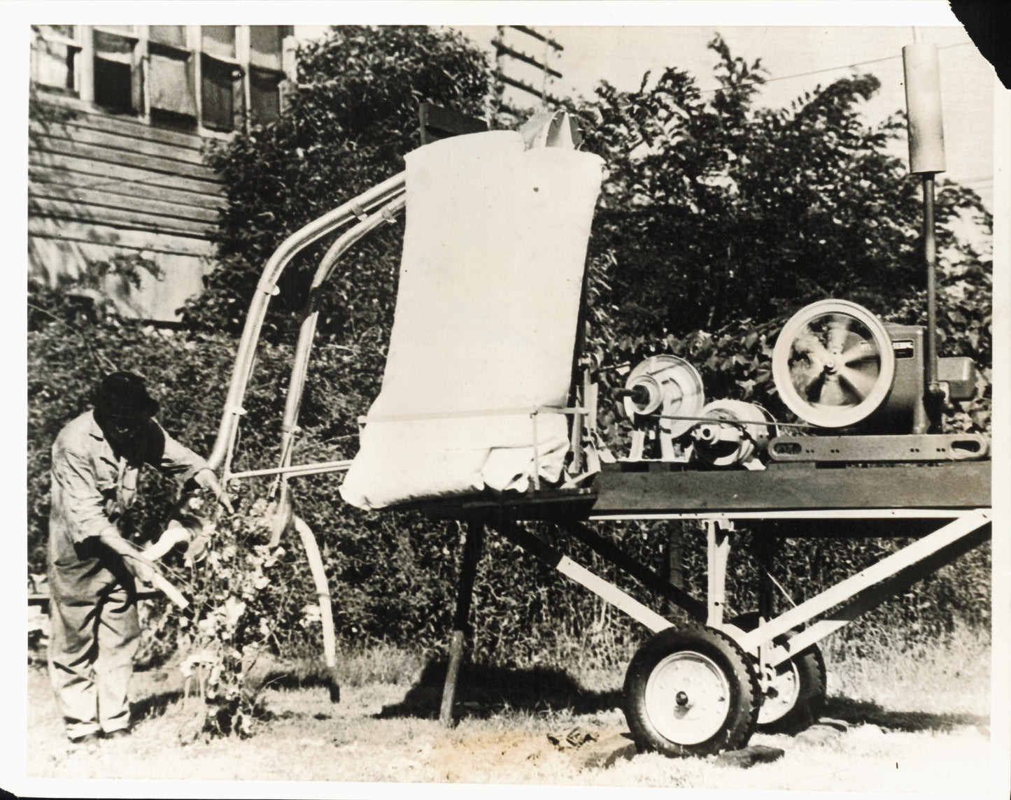 Cotton Industry Inventions (1921-1938) (4 vintage prints)