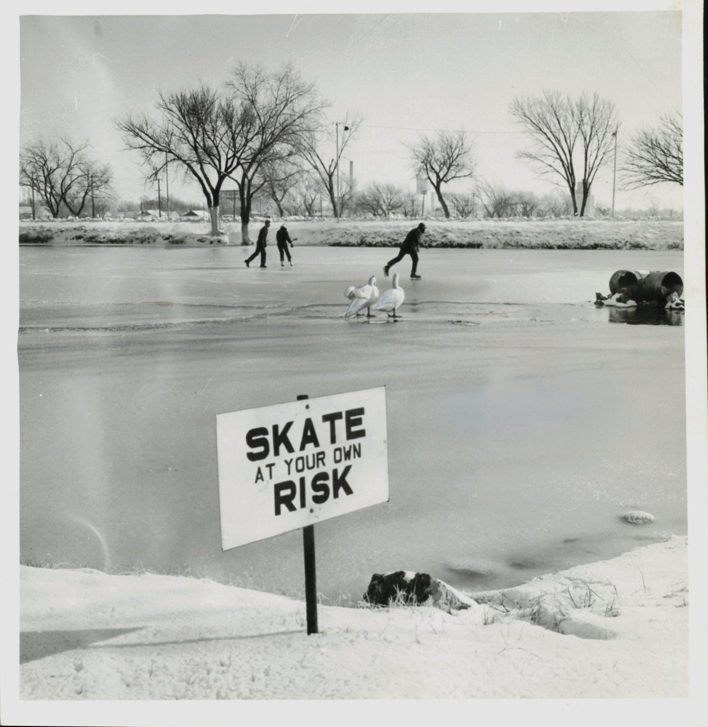Ice Skating Collection (1931-1961) (10 vintage prints)