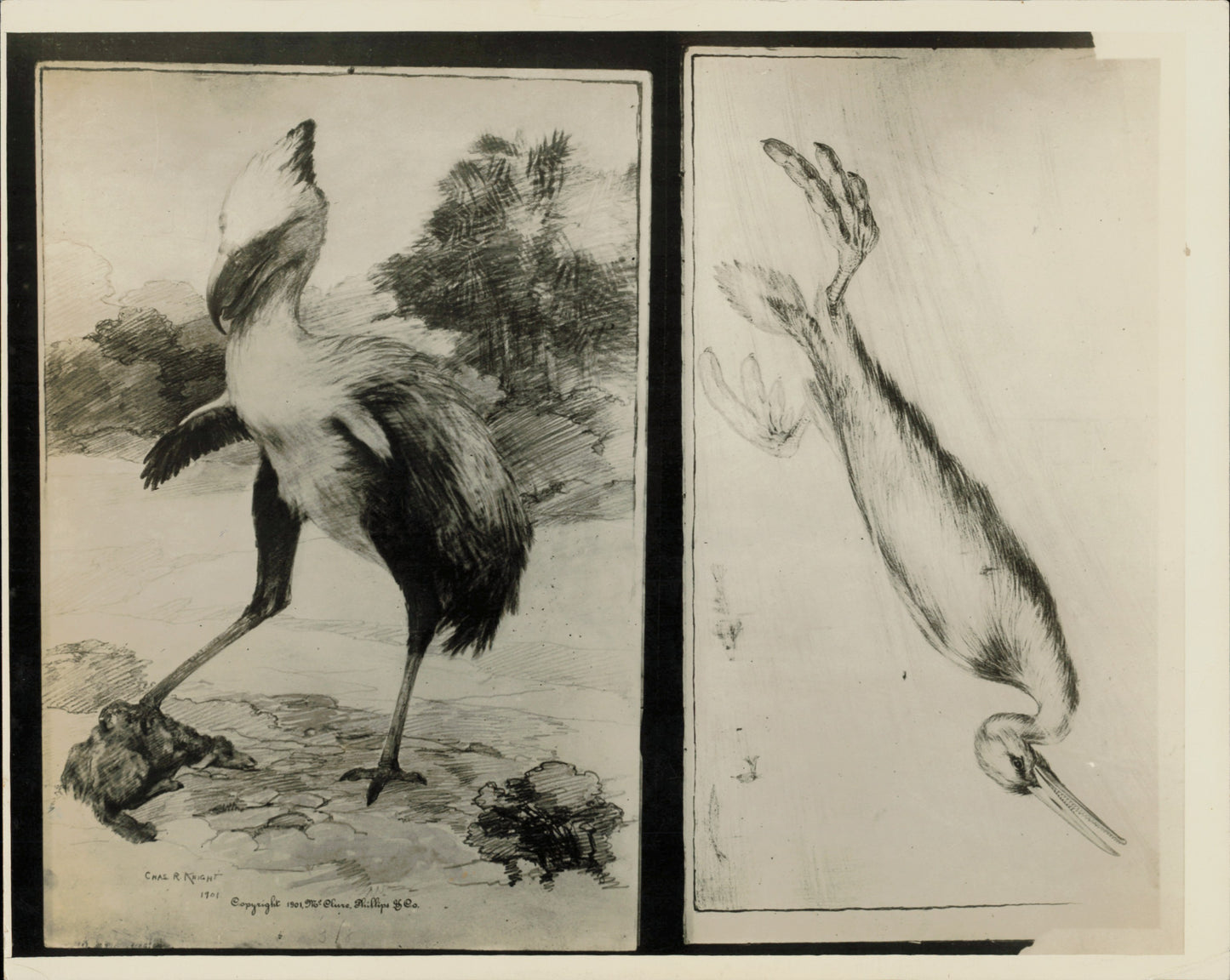 Dinosaur Concept Sketch (1928)