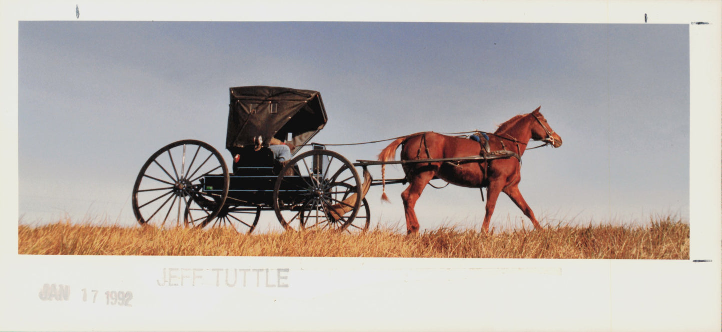 Amish Collection (1960s-80s) (48 vintage prints)