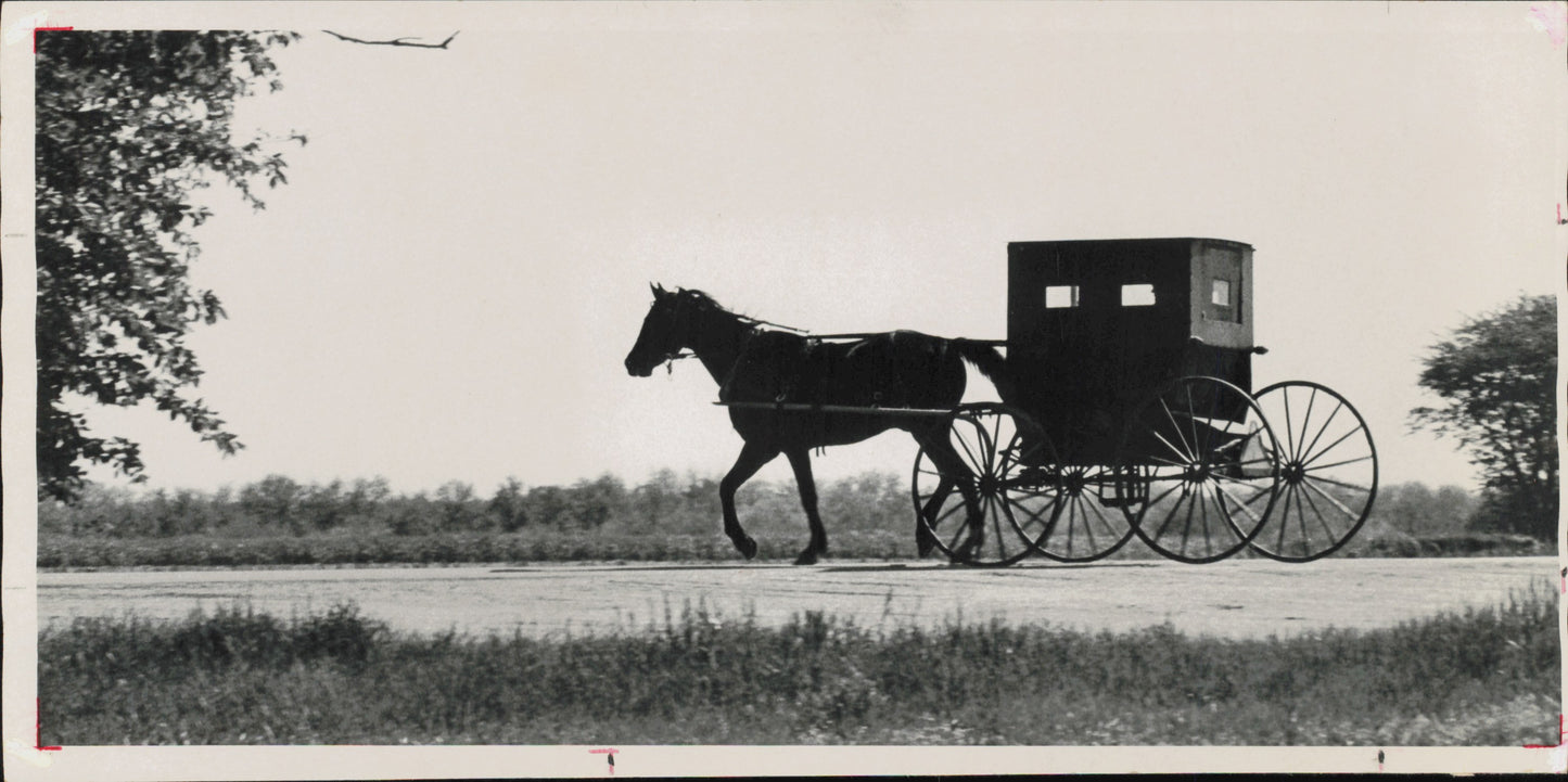 Amish Collection (1960s-80s) (48 vintage prints)