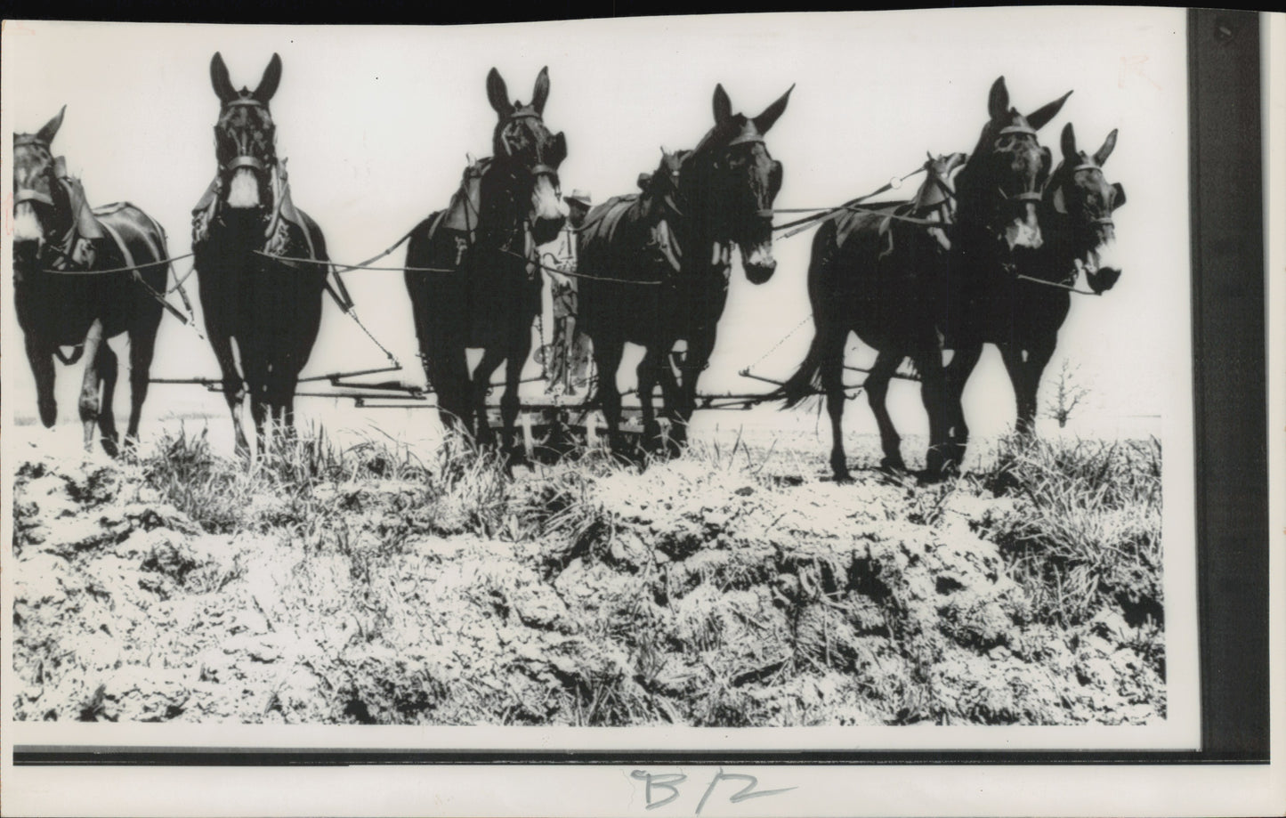 Amish Collection (1960s-80s) (48 vintage prints)
