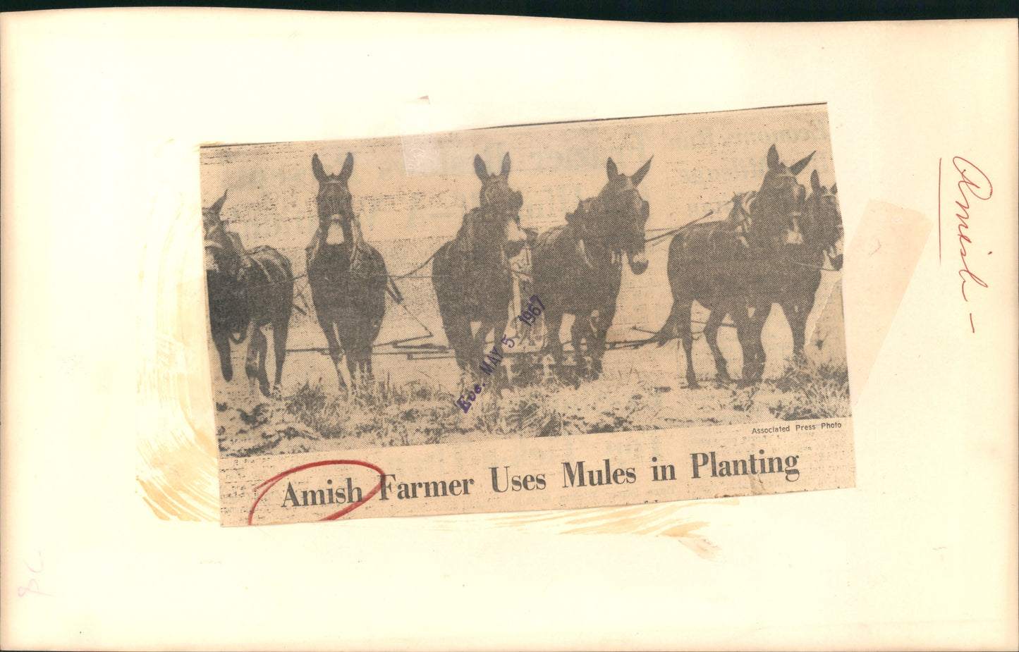 Amish Collection (1960s-80s) (48 vintage prints)