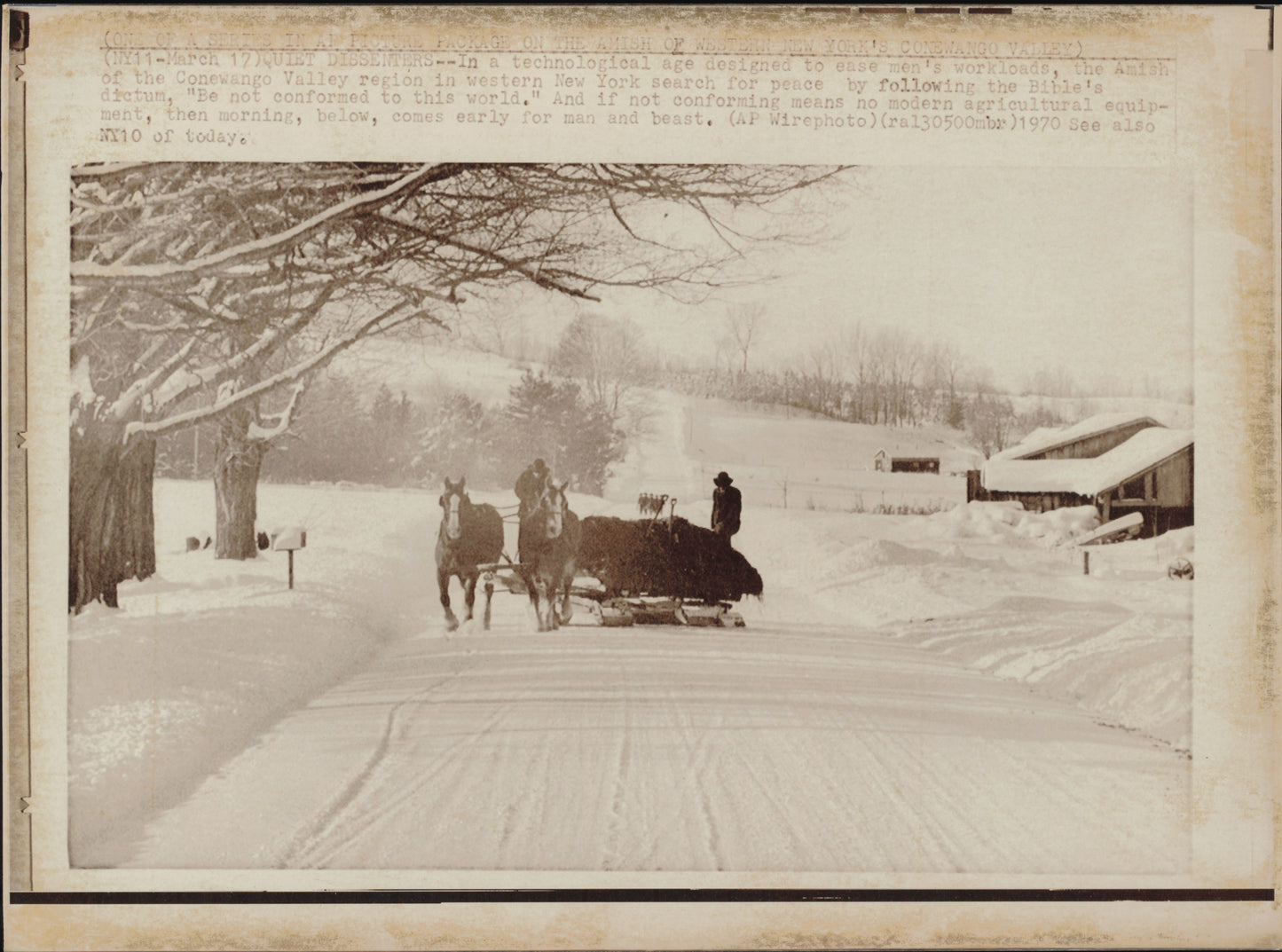 Amish Collection (1960s-80s) (48 vintage prints)