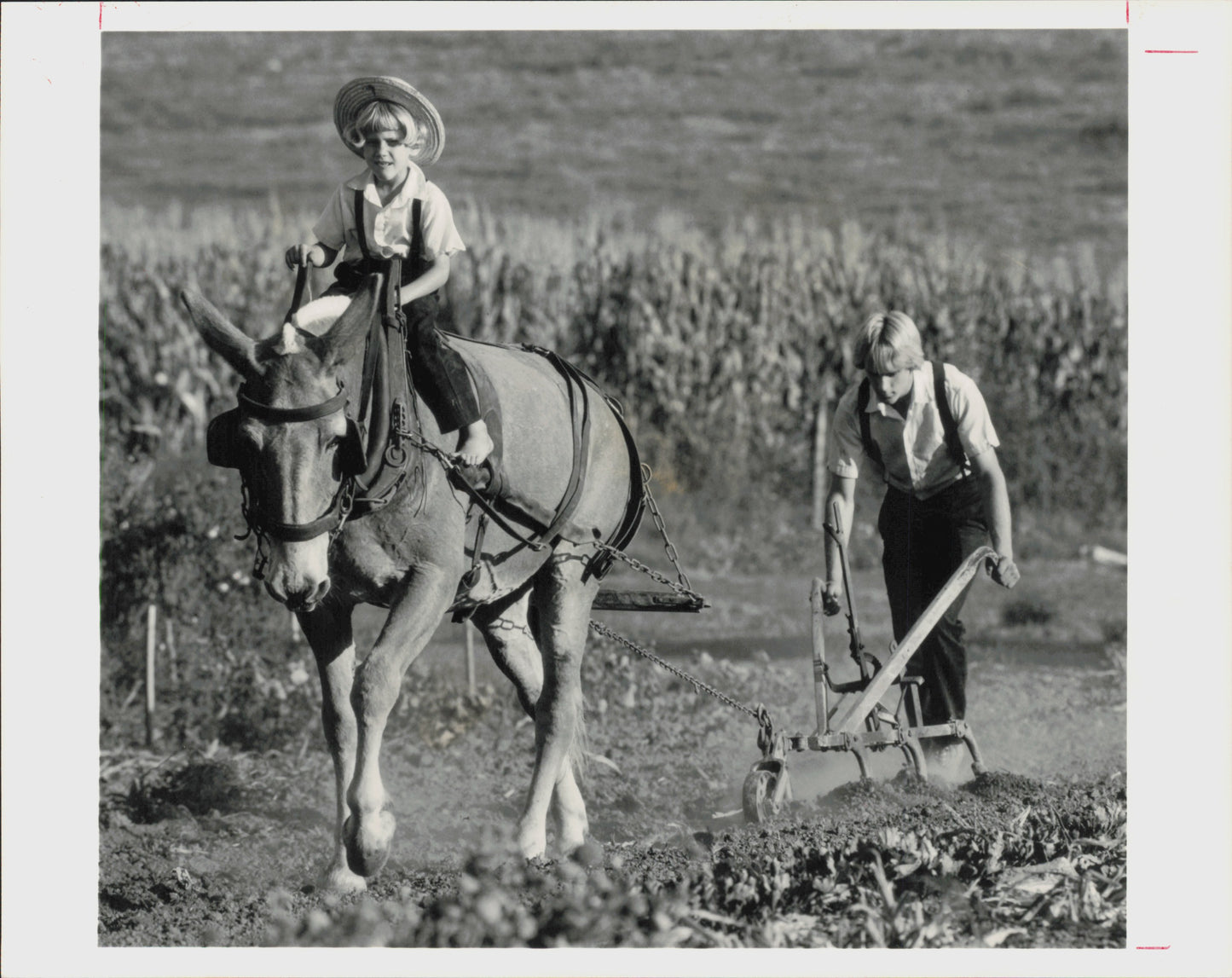 Amish Collection (1960s-80s) (48 vintage prints)