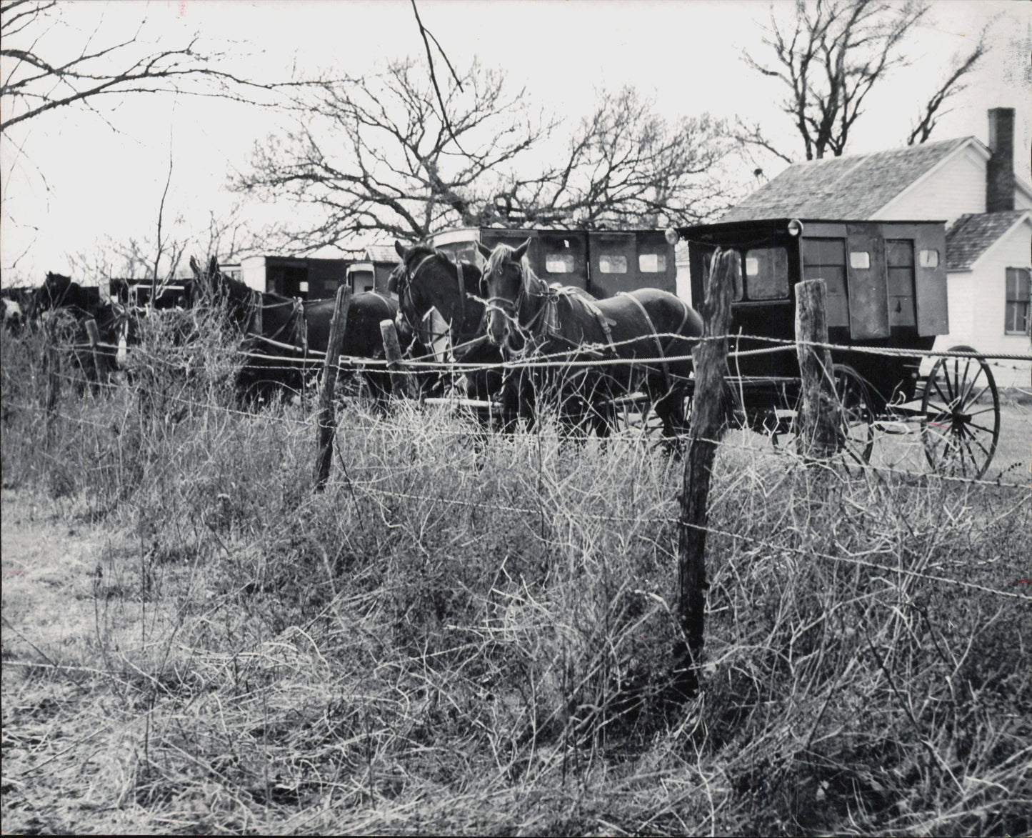 Amish Collection (1960s-80s) (48 vintage prints)