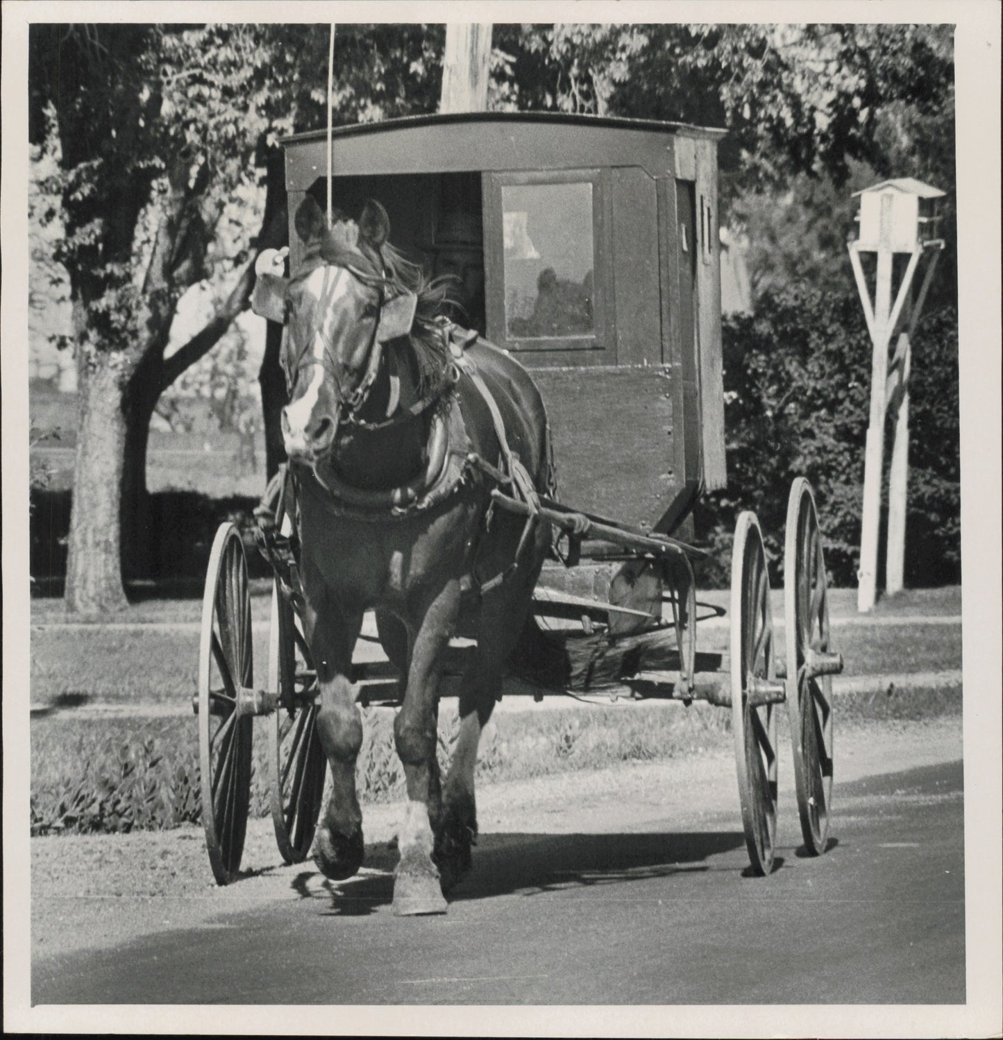 Amish Collection (1960s-80s) (48 vintage prints)