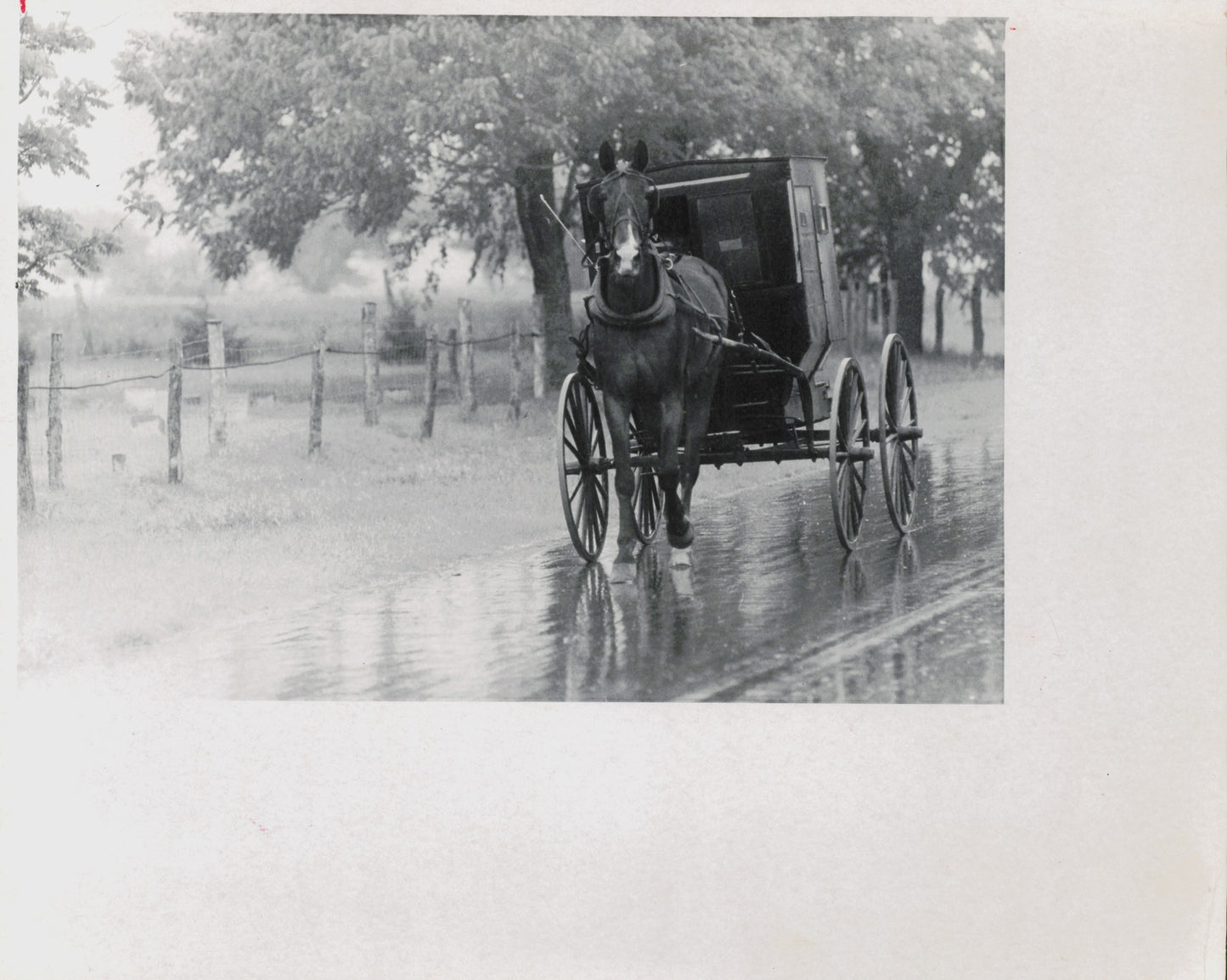 Amish Collection (1960s-80s) (48 vintage prints)