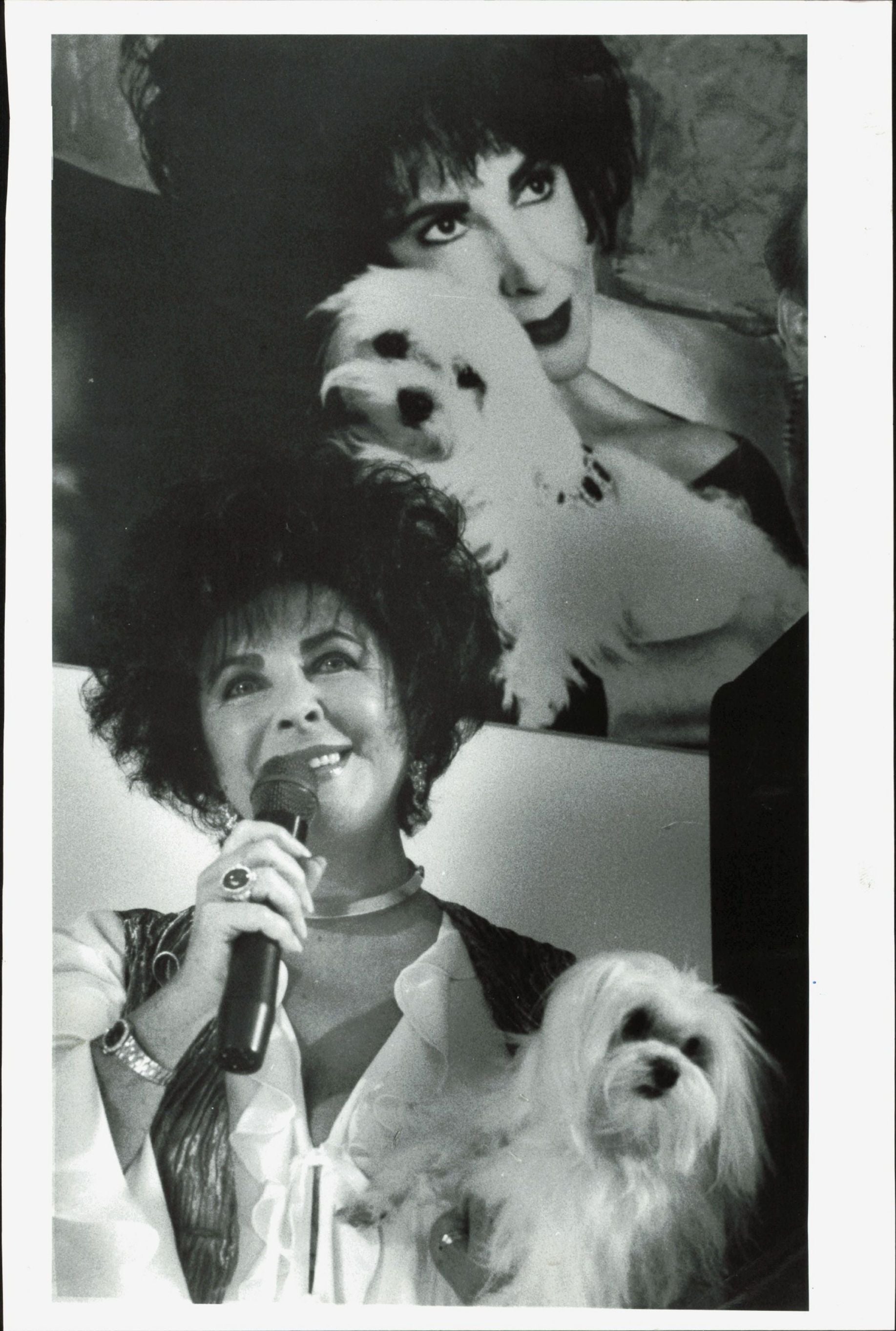 Elizabeth Taylor (1994) (oversize) Dog Elizabeth Taylor Hollywood oversize