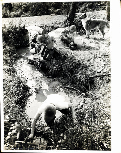 Childhood Photography Collection | Jeep Hunter (14 vintage oversize prints)
