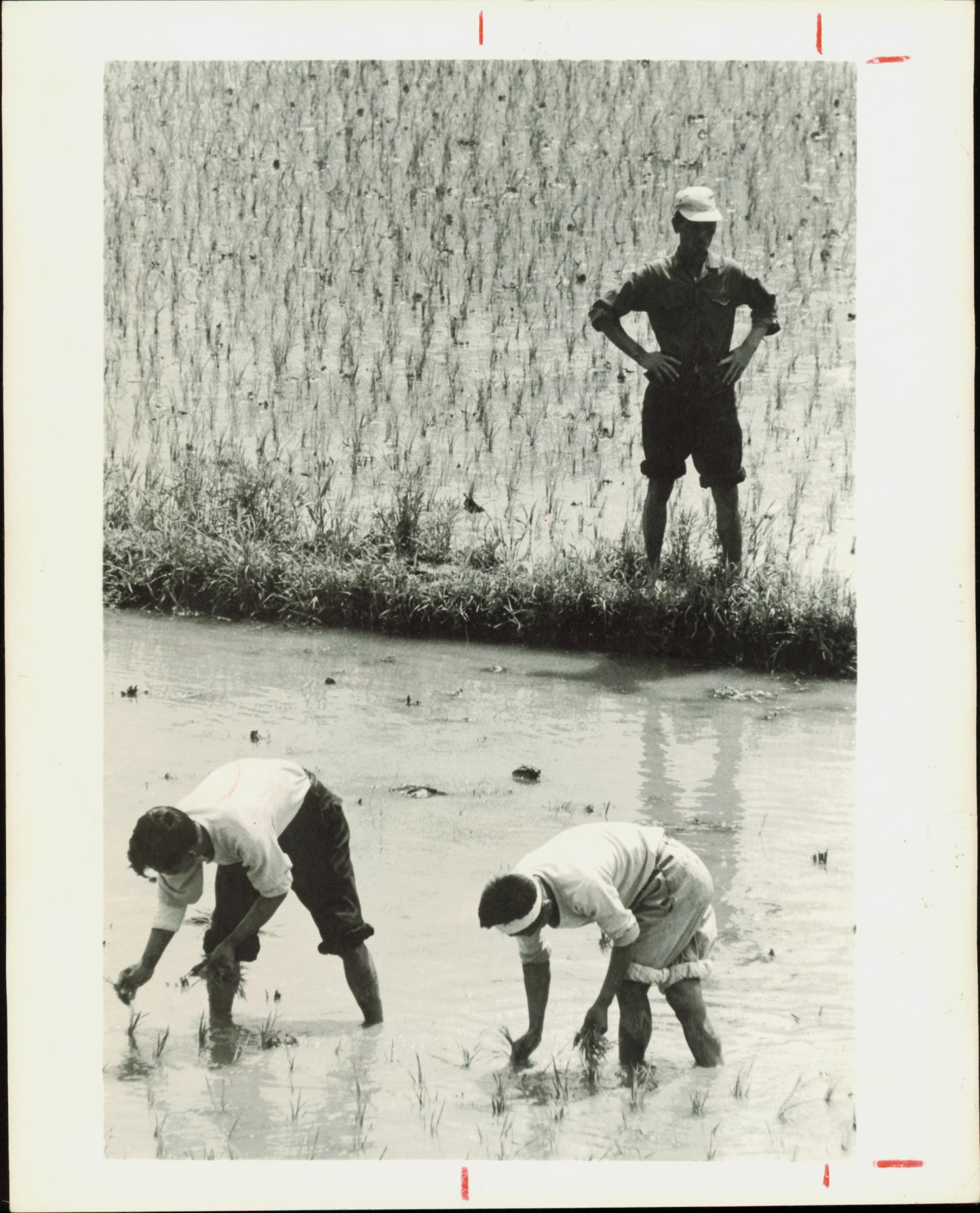 René Burri South Korea Collection (1961) (9 vintage prints) korea Military