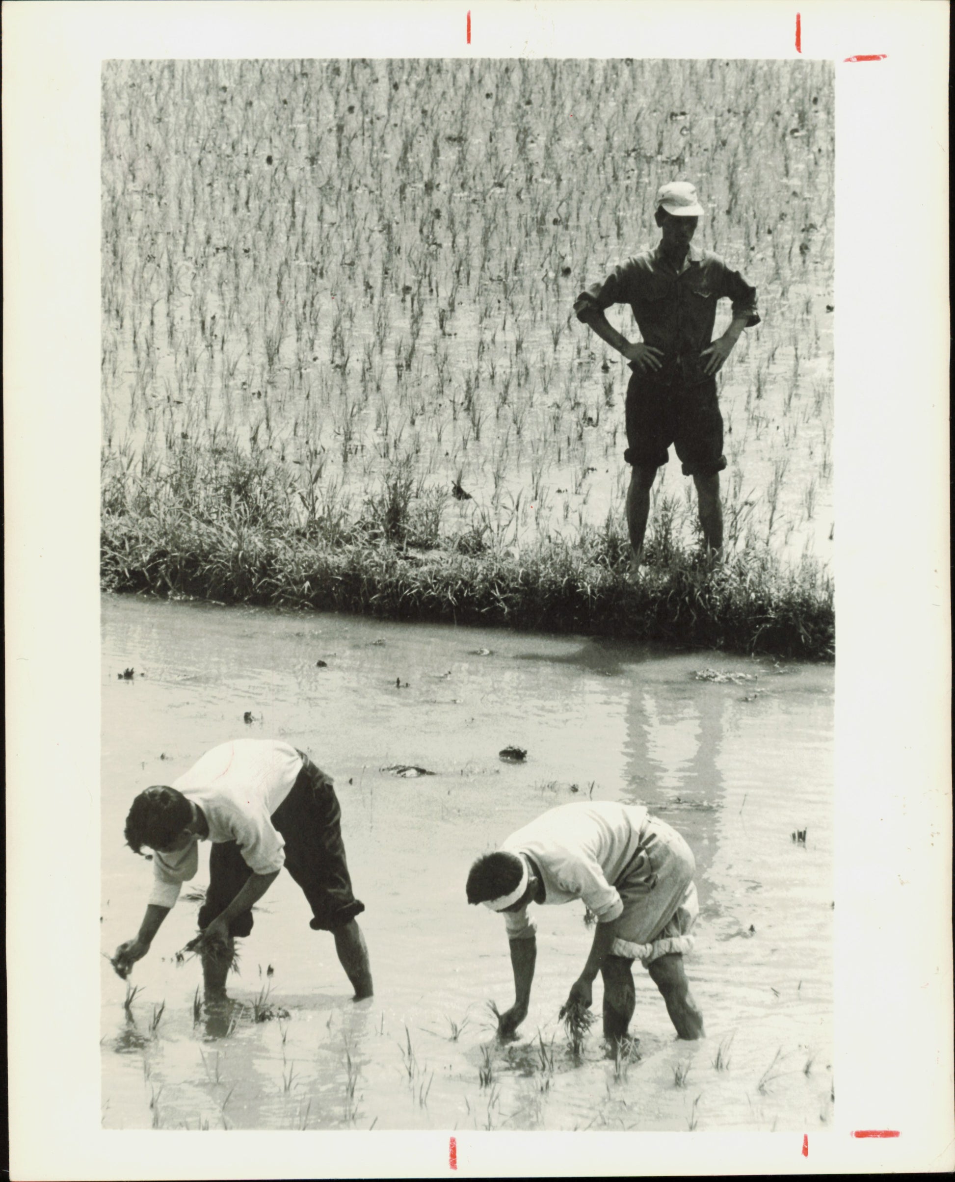 René Burri South Korea Collection (1961) (9 vintage prints) korea Military