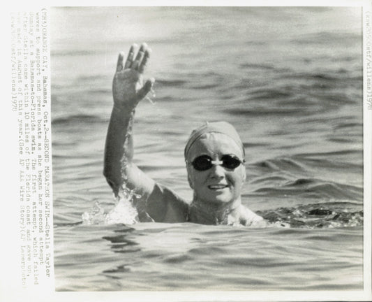 Stella Taylor Collection (1978) (5 vintage prints)