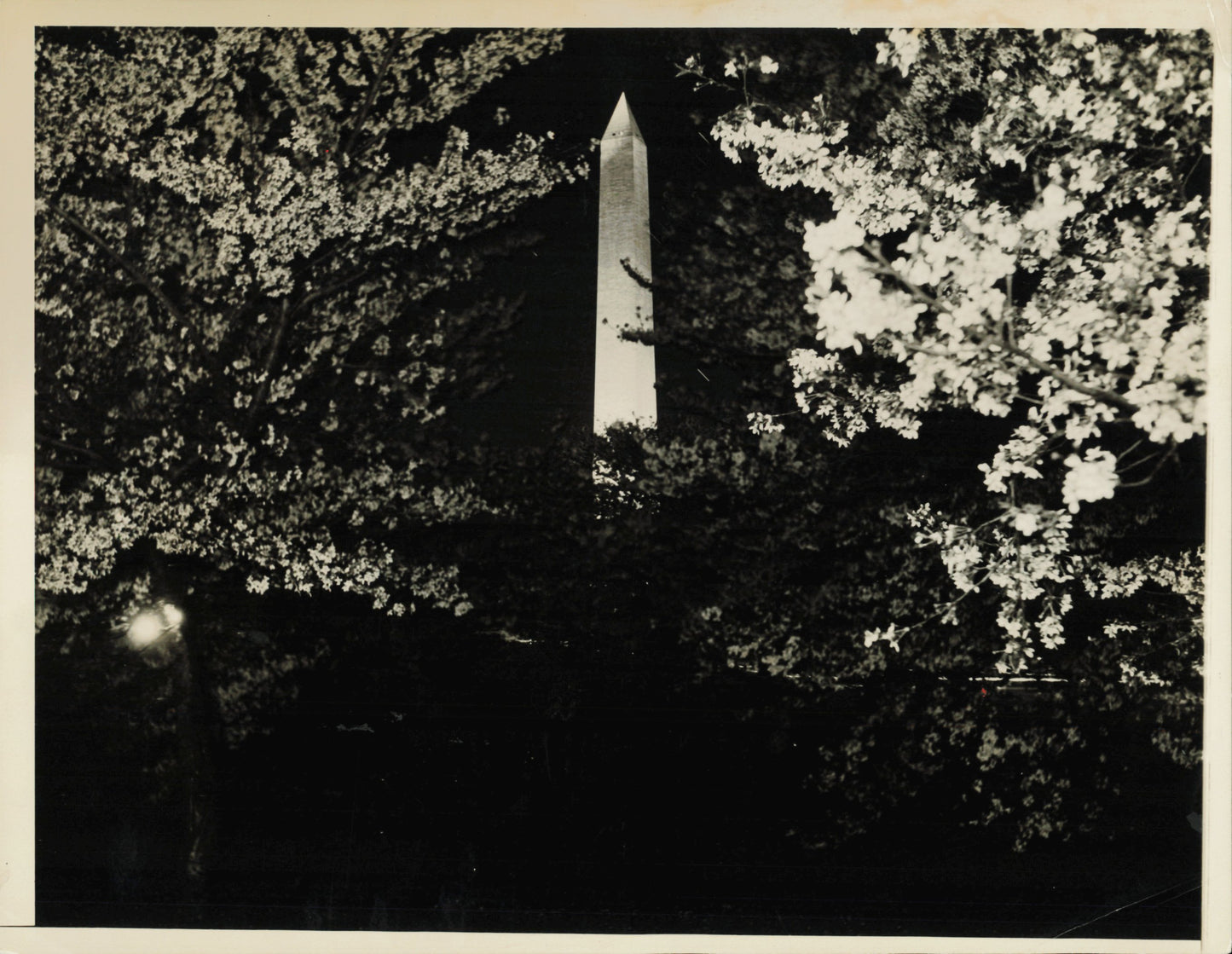 Washington Monument Collection (1933-1953) (5 vintage prints)
