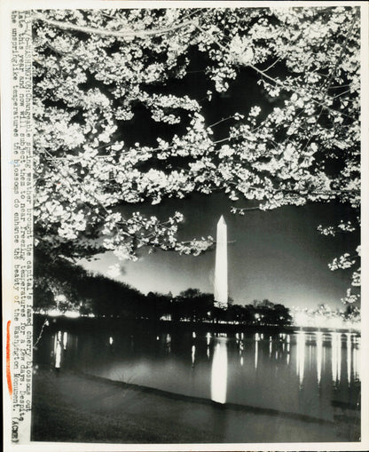 Washington Monument Collection (1933-1953) (5 vintage prints)