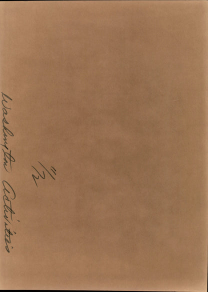 Washington DC Demonstrations Collection (60 vintage prints)