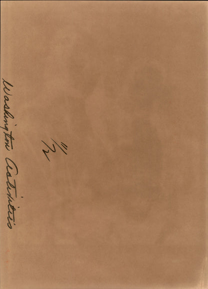 Washington DC Demonstrations Collection (60 vintage prints)