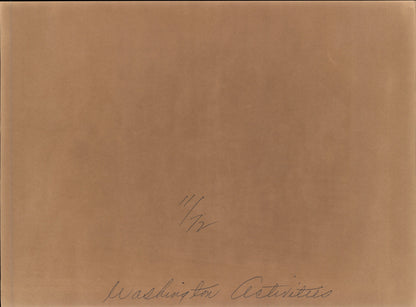 Washington DC Demonstrations Collection (60 vintage prints)