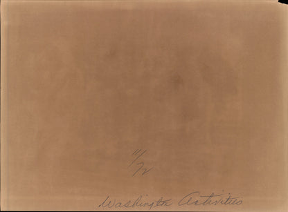 Washington DC Demonstrations Collection (60 vintage prints)