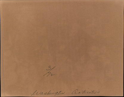Washington DC Demonstrations Collection (60 vintage prints)