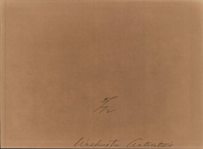 Washington DC Demonstrations Collection (60 vintage prints)