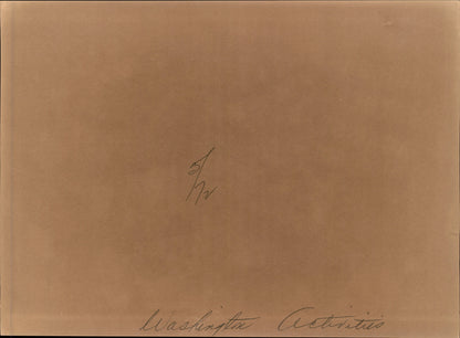 Washington DC Demonstrations Collection (60 vintage prints)