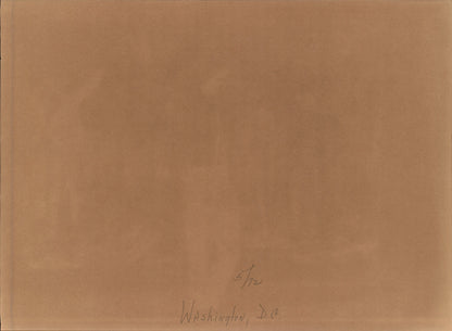 Washington DC Demonstrations Collection (60 vintage prints)